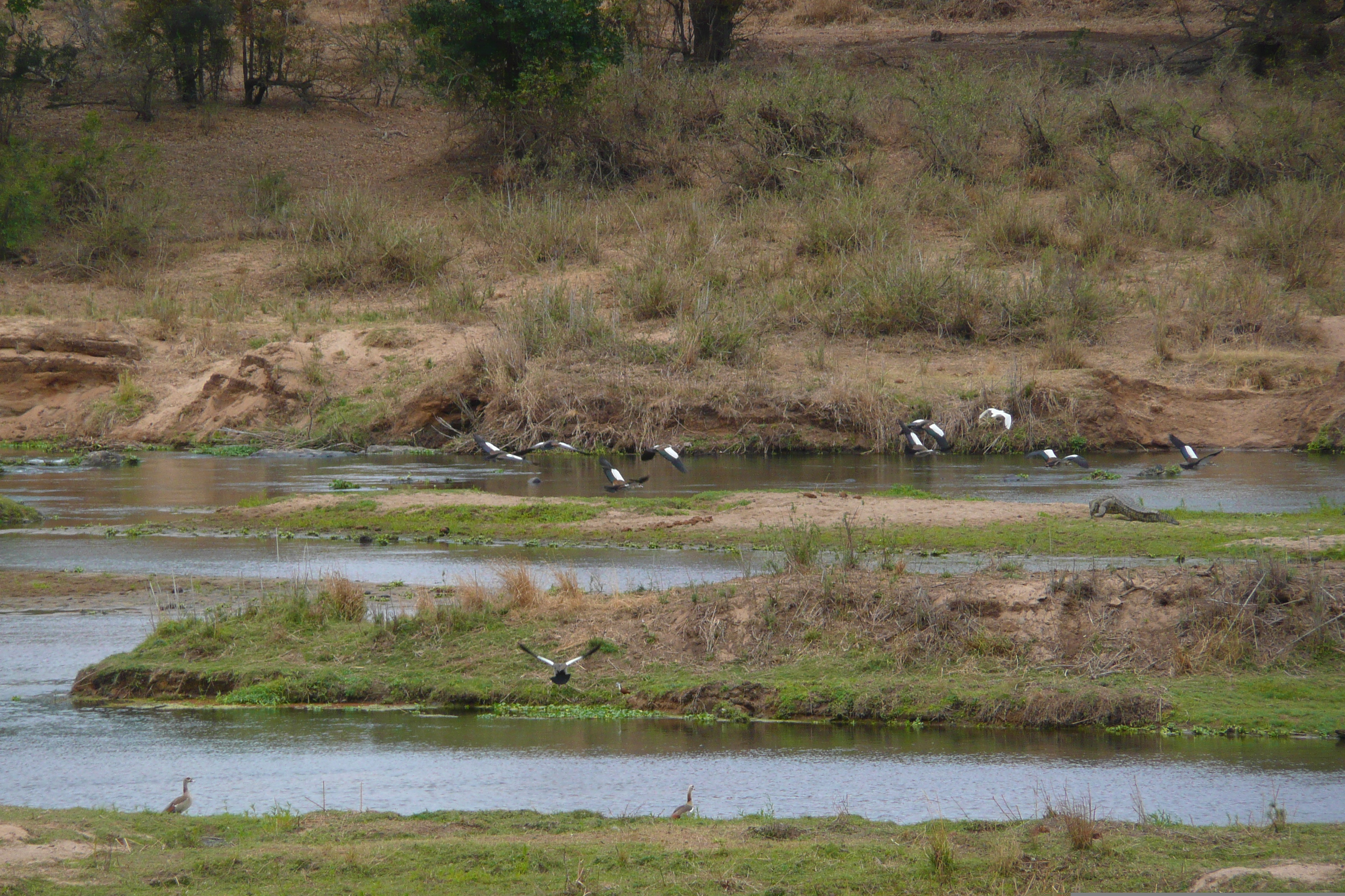 Picture South Africa Kruger National Park Crocodile River 2008-09 55 - Recreation Crocodile River