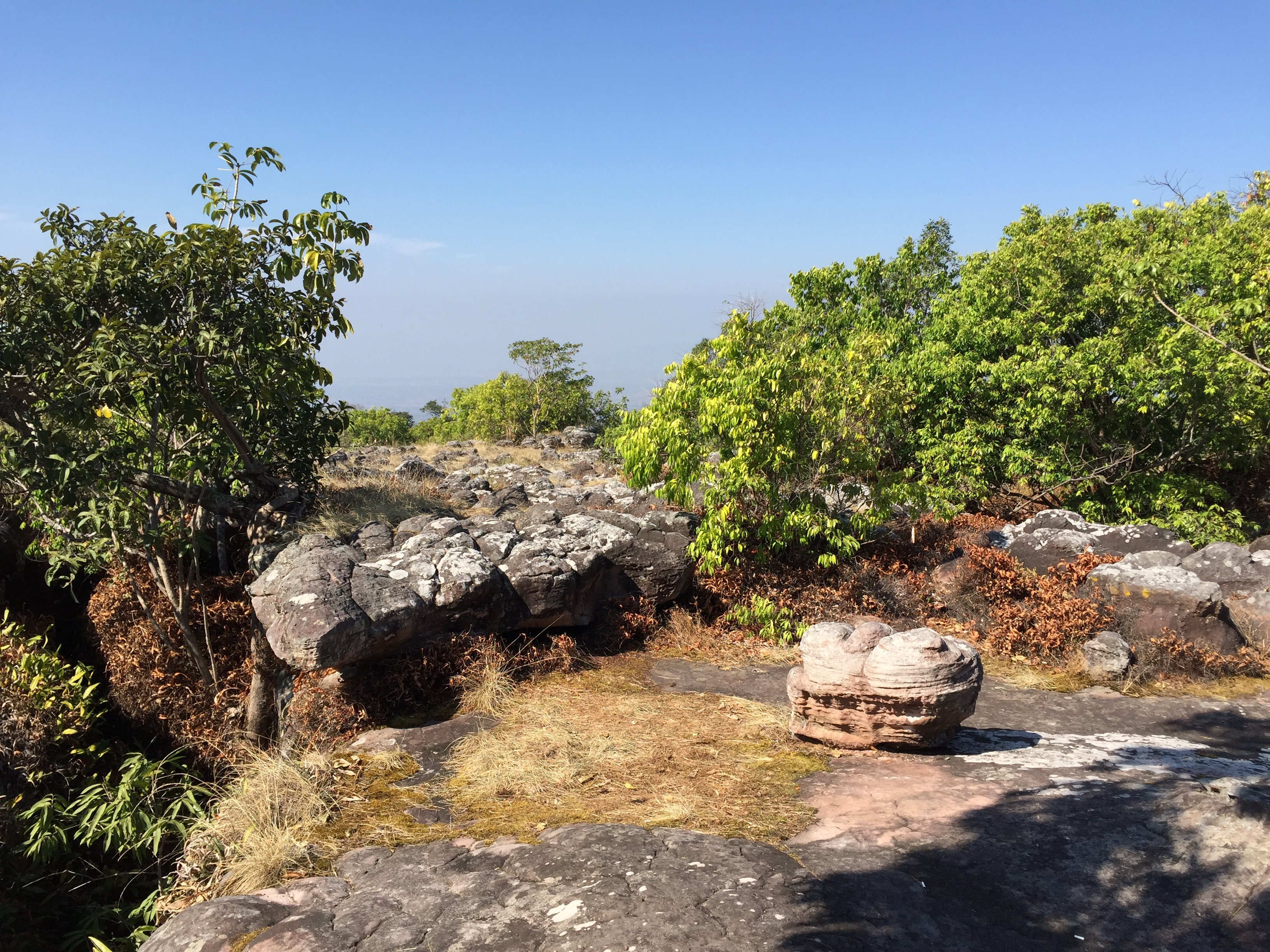 Picture Thailand Phu Hin Rong Kla National Park 2014-12 316 - Recreation Phu Hin Rong Kla National Park