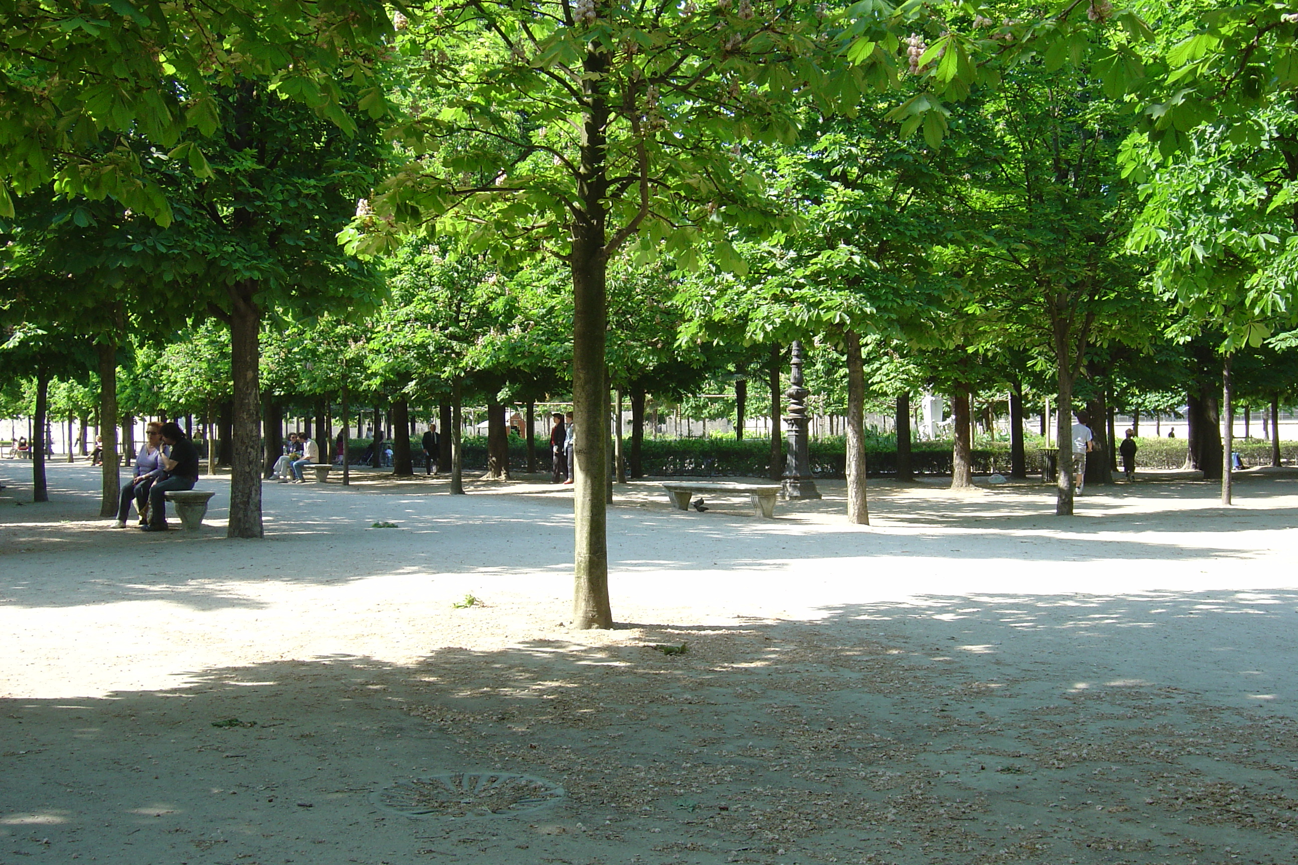 Picture France Paris Garden of Tuileries 2007-05 22 - Recreation Garden of Tuileries