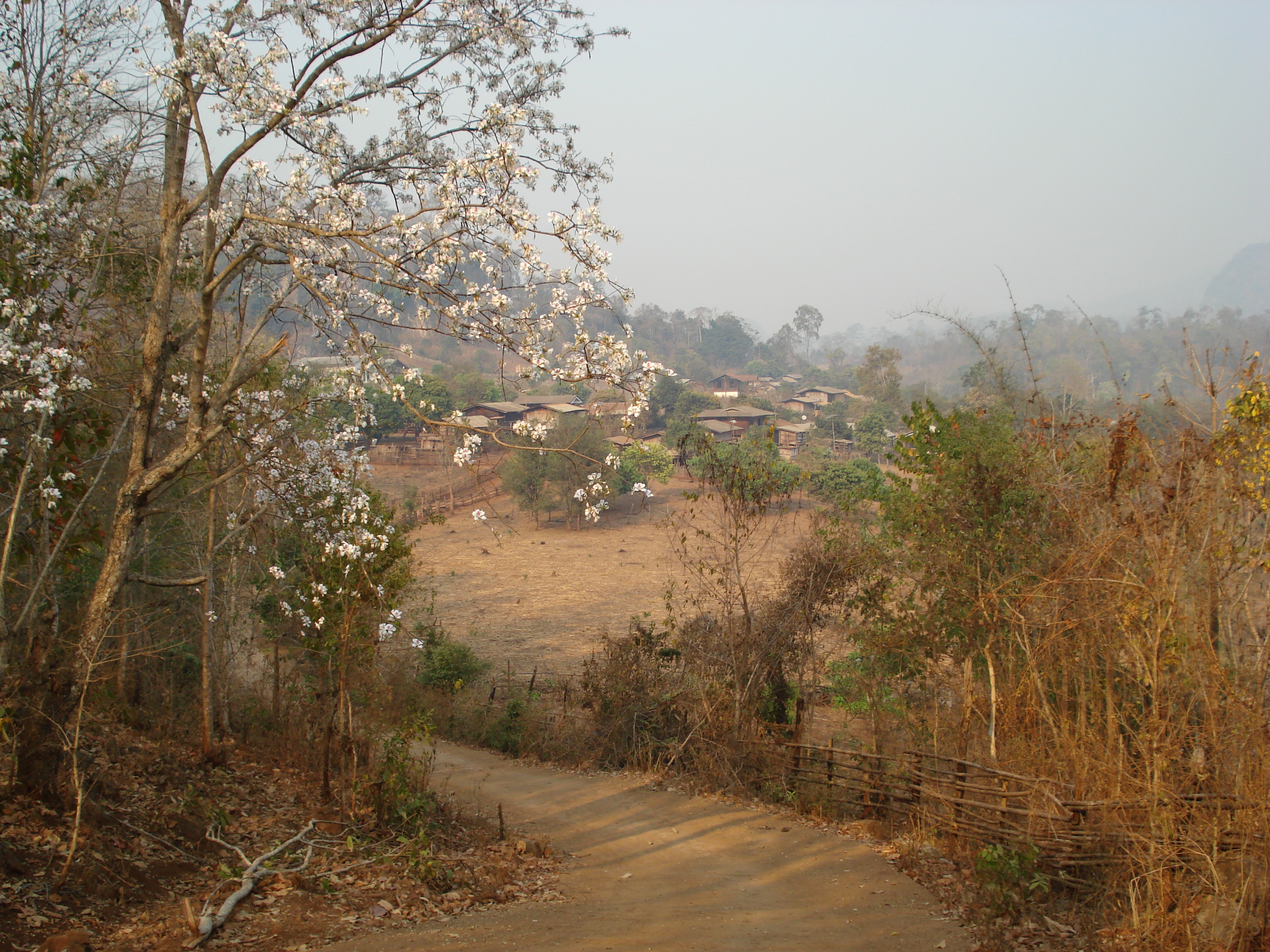 Picture Thailand Pang Mapha 2007-02 40 - Center Pang Mapha