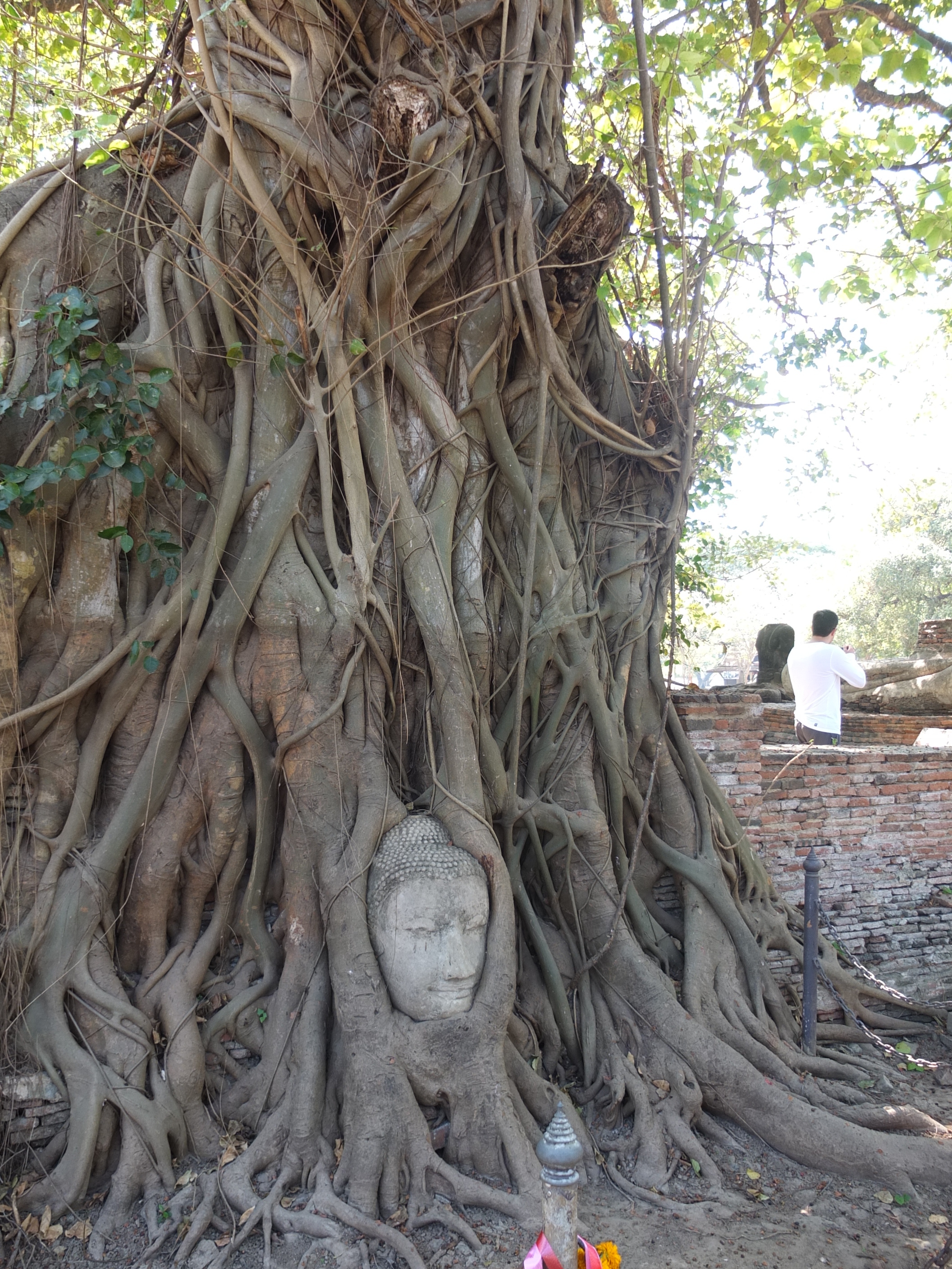 Picture Thailand Ayutthaya 2011-12 29 - Discovery Ayutthaya