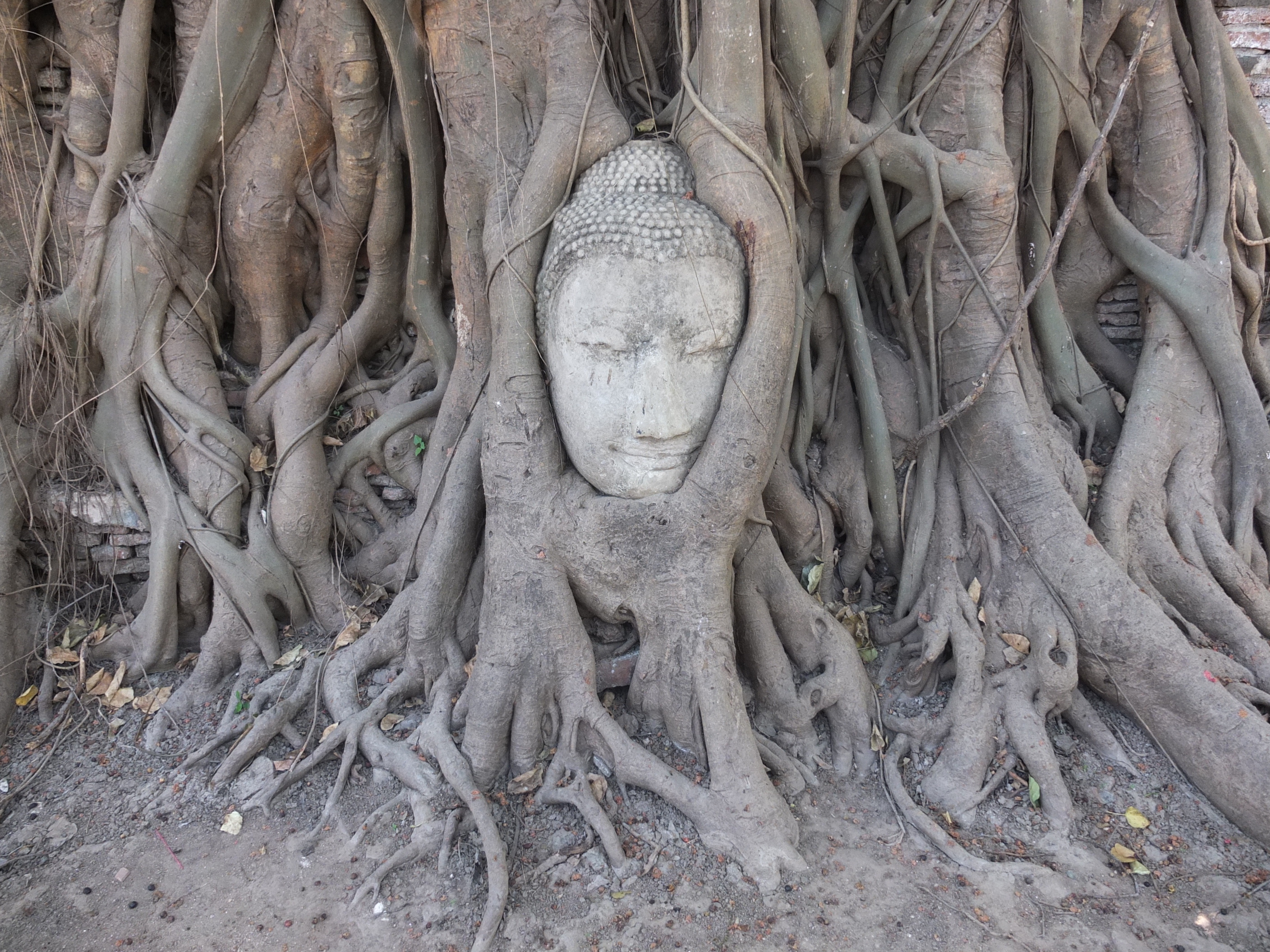 Picture Thailand Ayutthaya 2011-12 42 - Recreation Ayutthaya