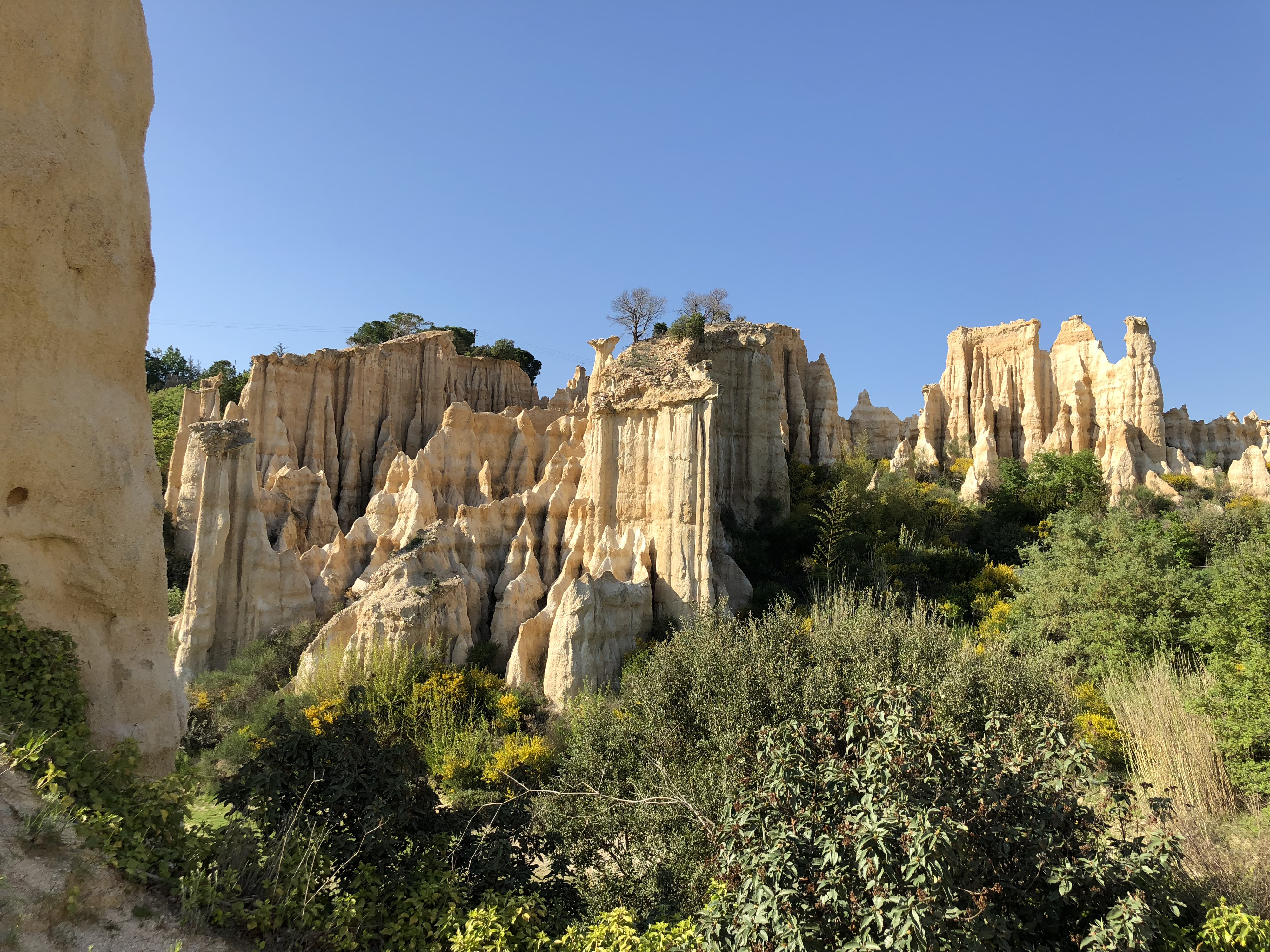 Picture France Orgues d'Ille Sur Tet 2018-04 31 - Center Orgues d'Ille Sur Tet