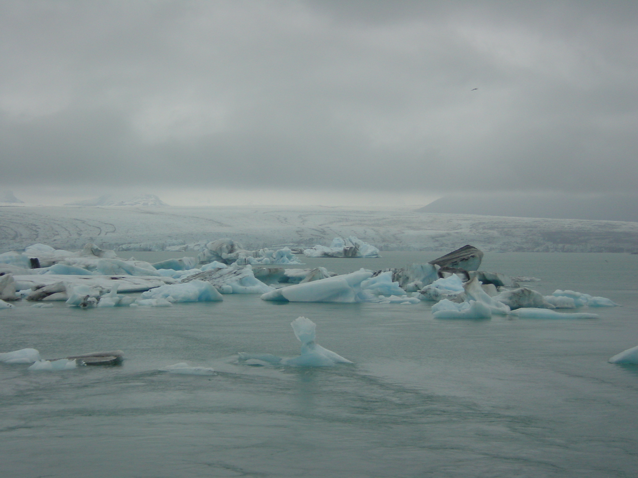 Picture Iceland Jokulsarlon 2003-06 13 - Journey Jokulsarlon