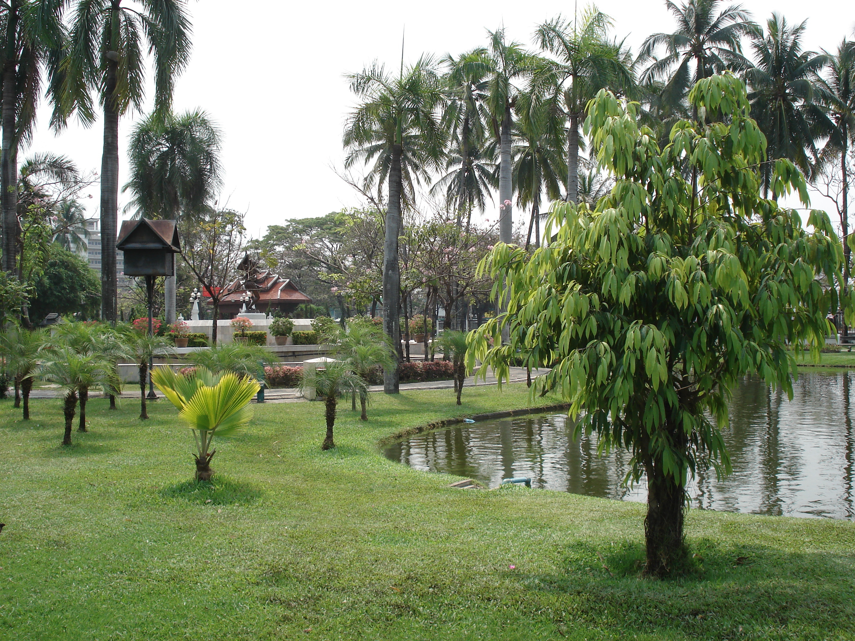 Picture Thailand Chiang Mai Inside Canal Buak Had Park 2006-04 6 - Recreation Buak Had Park