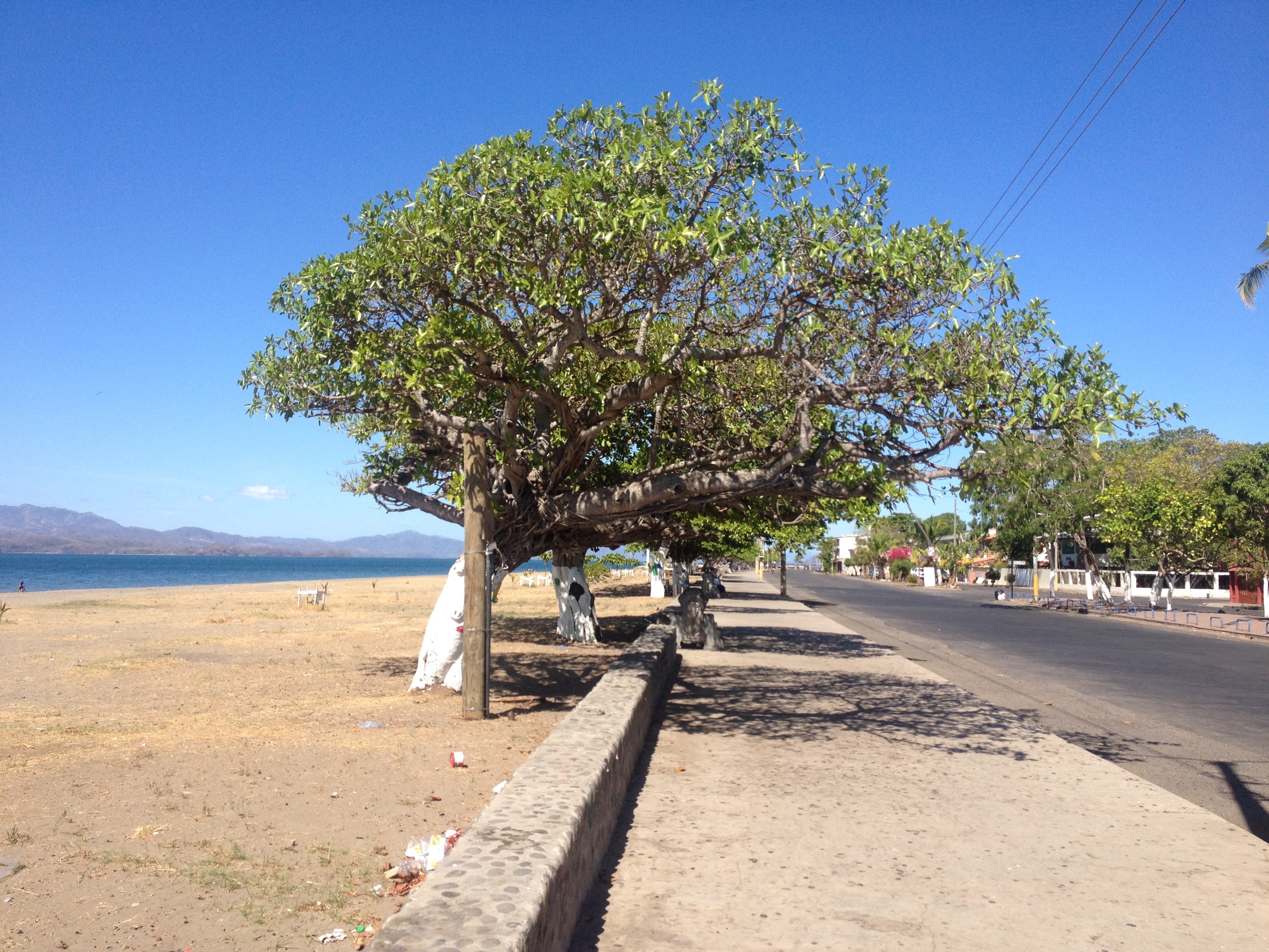 Picture Costa Rica Puntaneras 2015-03 79 - Discovery Puntaneras