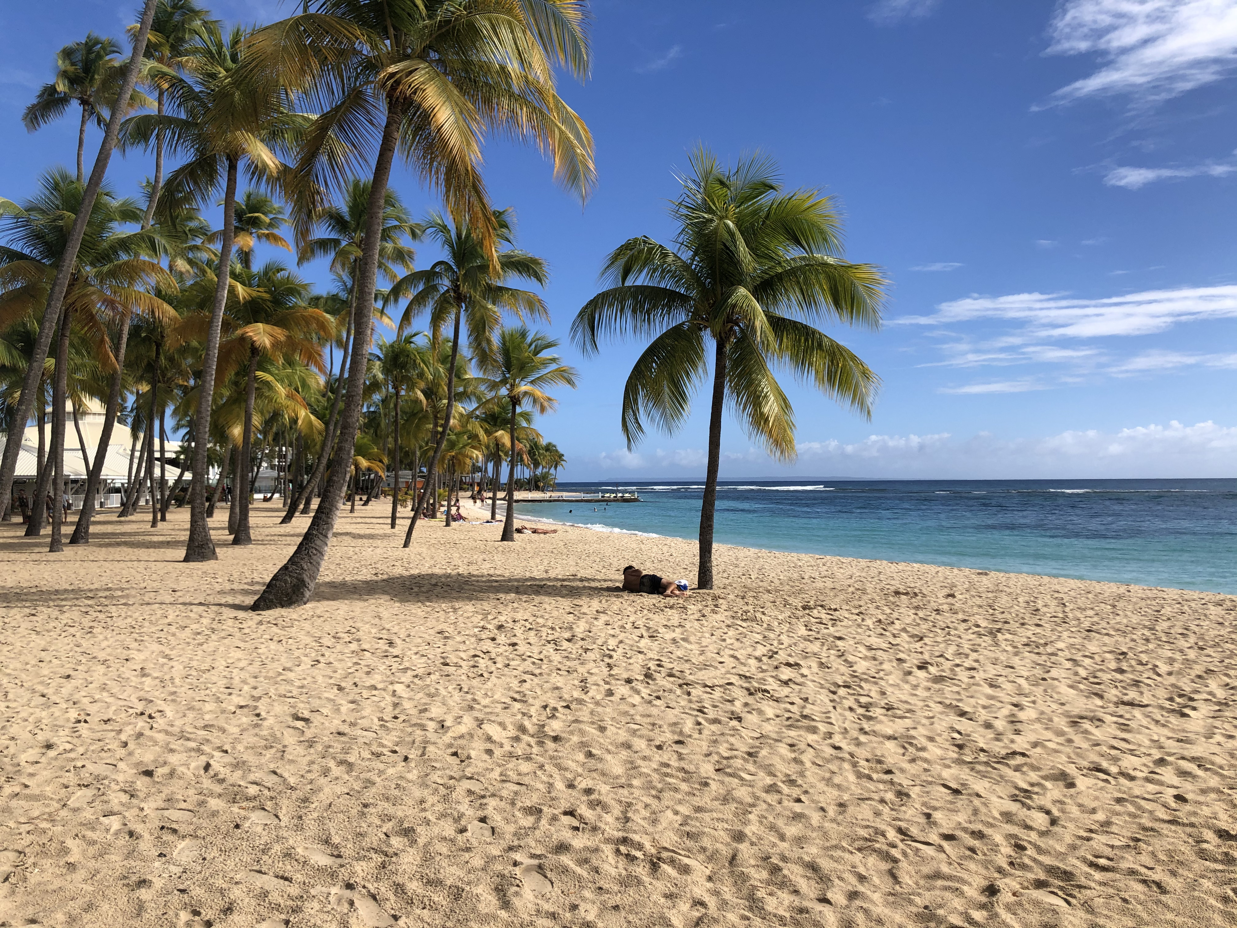 Picture Guadeloupe La Caravelle Beach 2021-02 153 - Recreation La Caravelle Beach