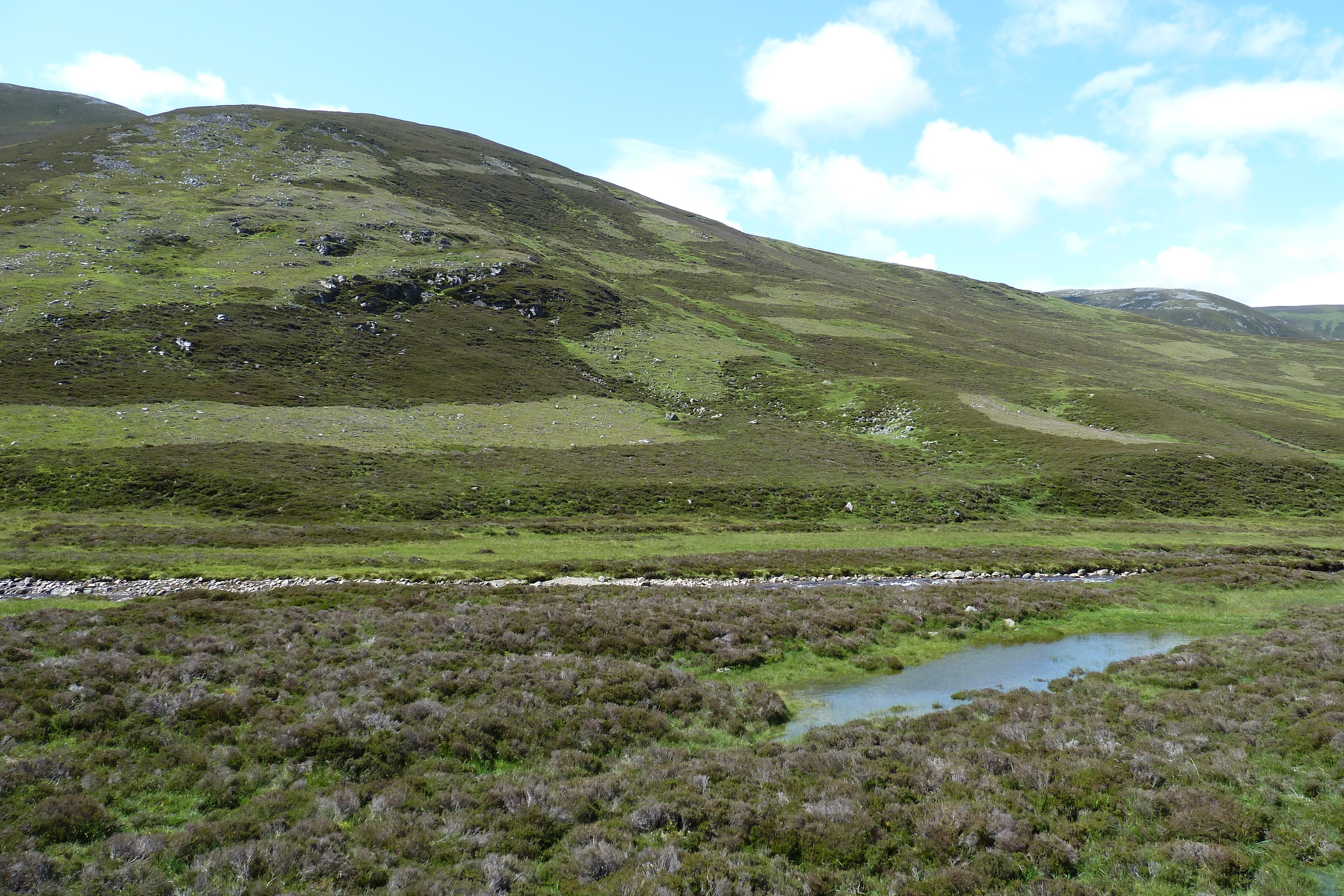 Picture United Kingdom Cairngorms National Park 2011-07 74 - Discovery Cairngorms National Park