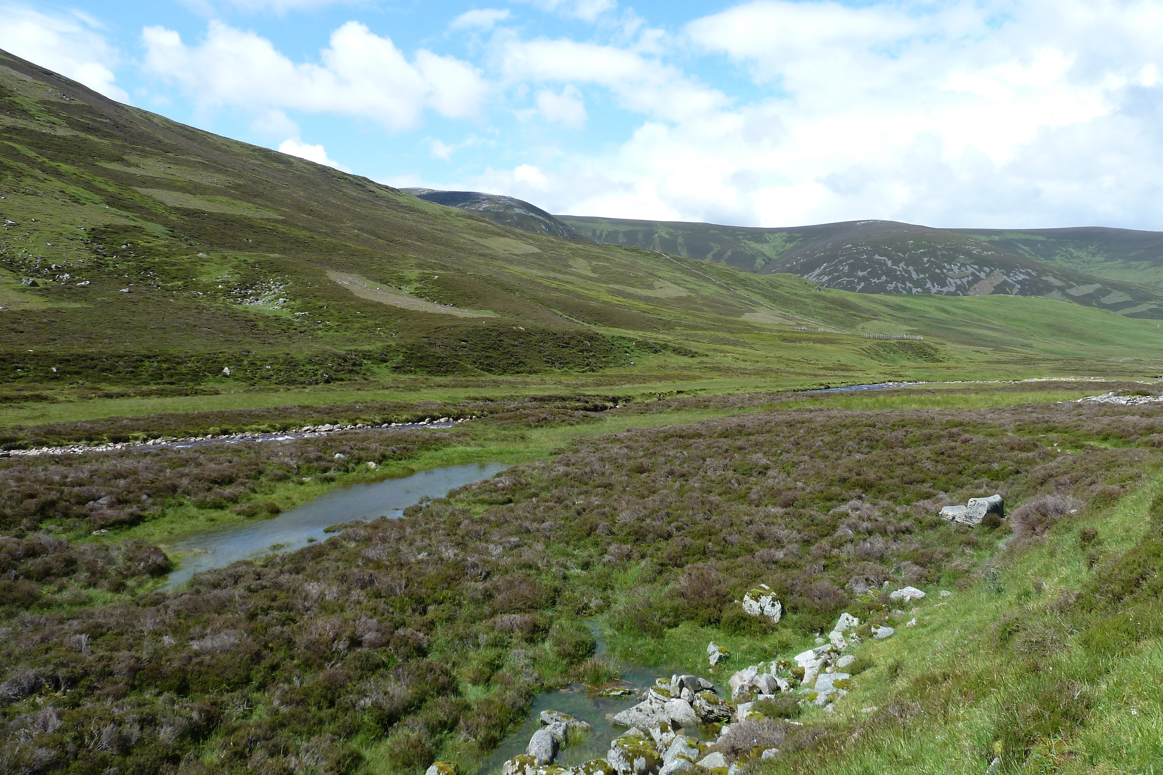 Picture United Kingdom Cairngorms National Park 2011-07 97 - Discovery Cairngorms National Park