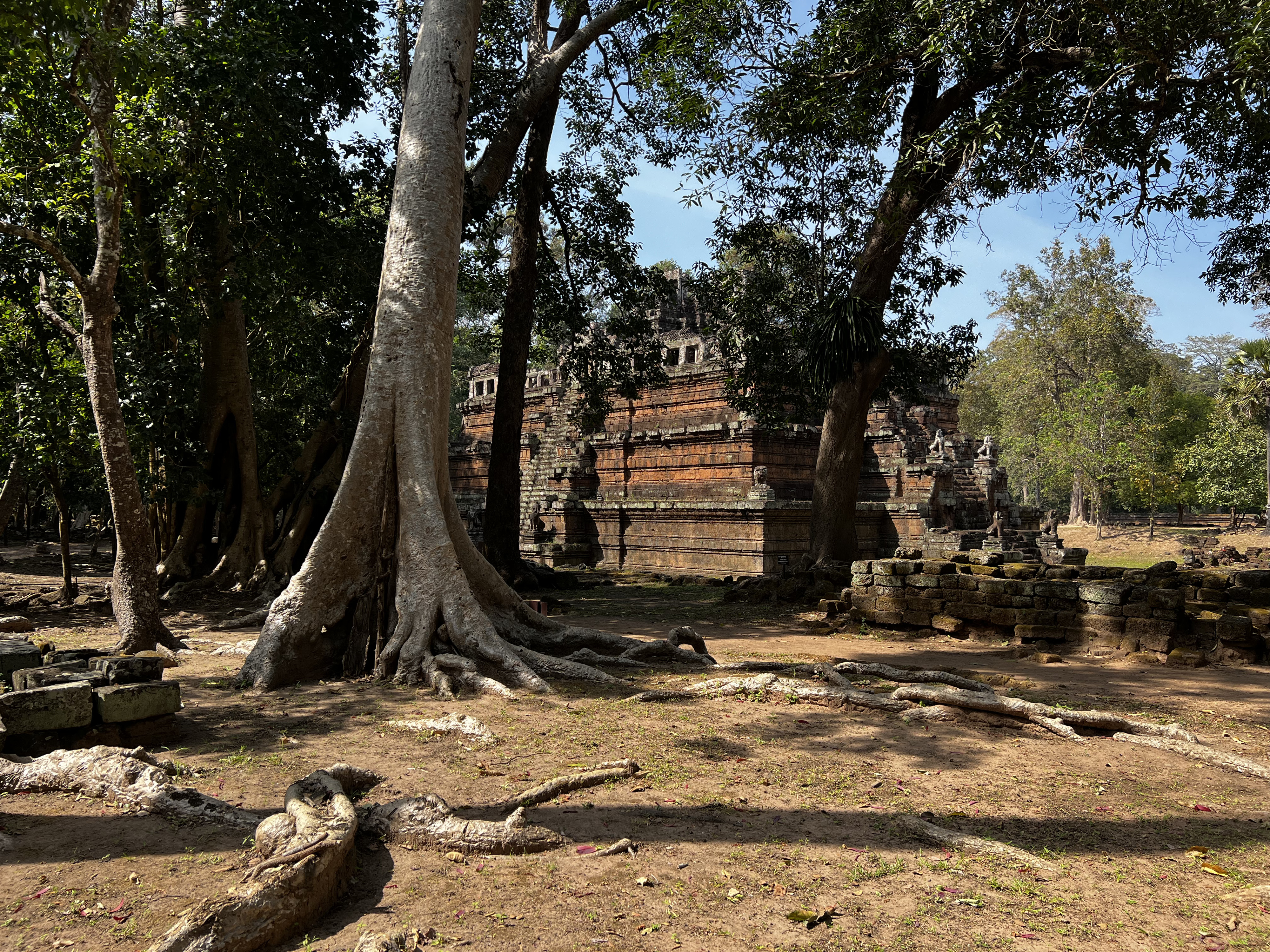 Picture Cambodia Siem Reap Angkor Thom 2023-01 54 - Recreation Angkor Thom