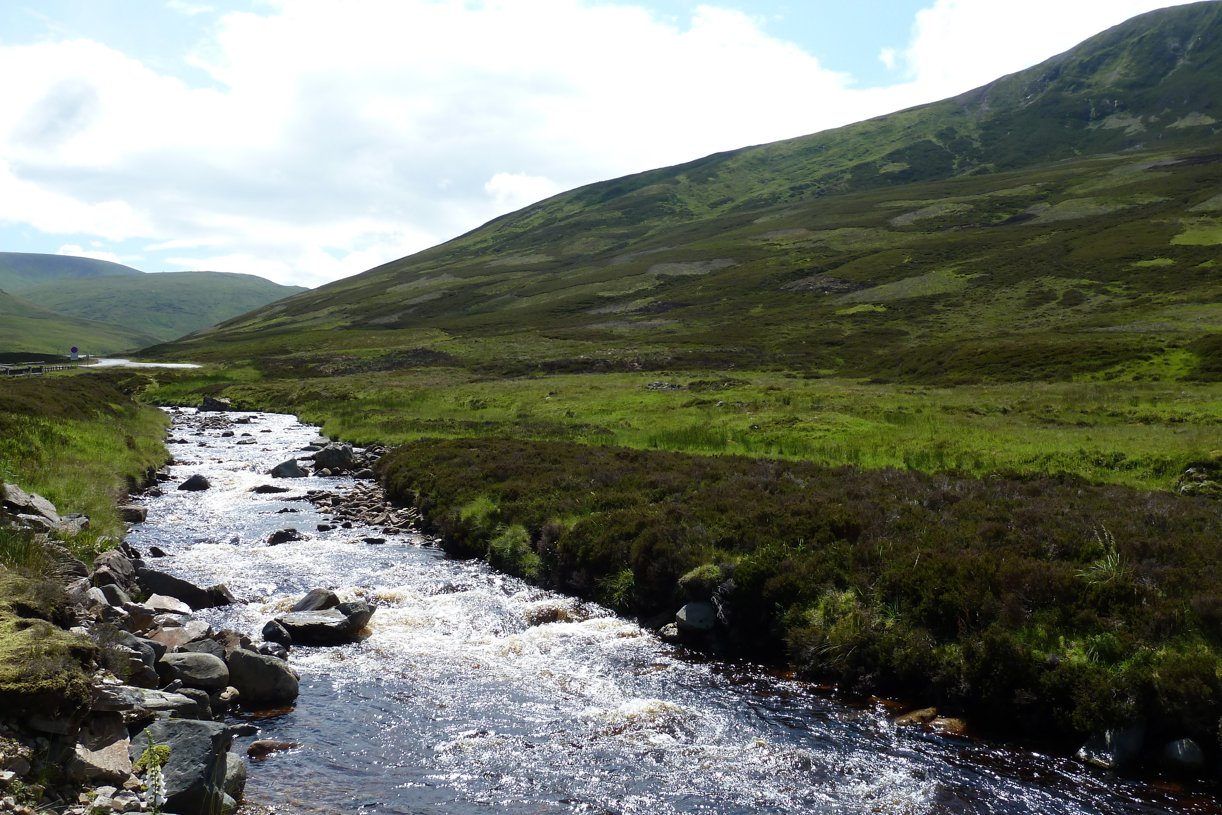 Picture United Kingdom Cairngorms National Park 2011-07 86 - Tour Cairngorms National Park