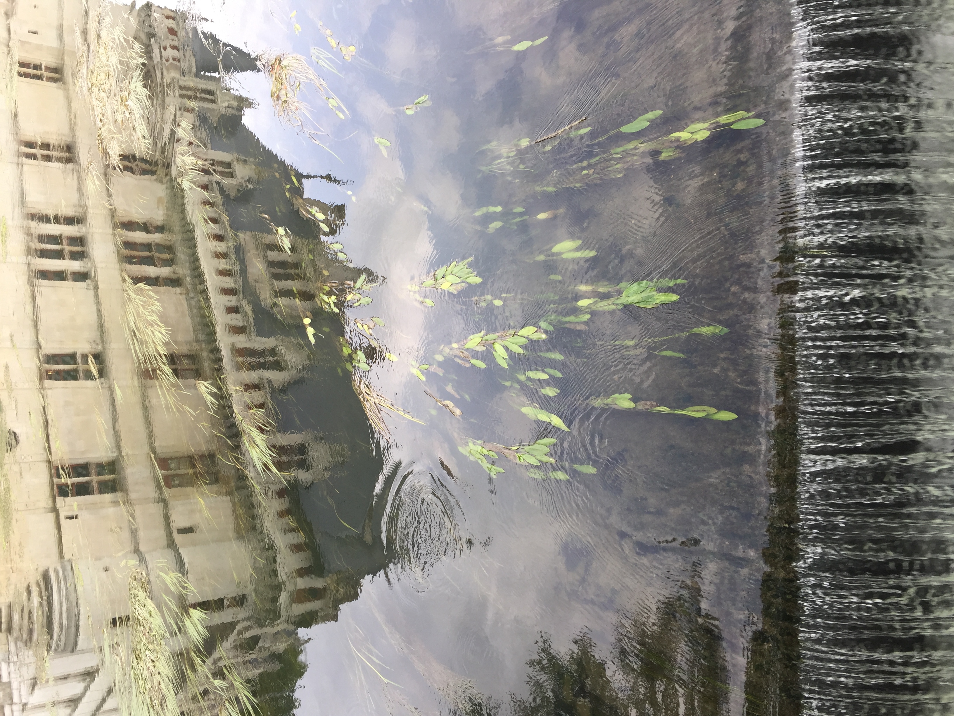 Picture France Azay-le-Rideau Castle 2017-08 40 - Recreation Azay-le-Rideau Castle