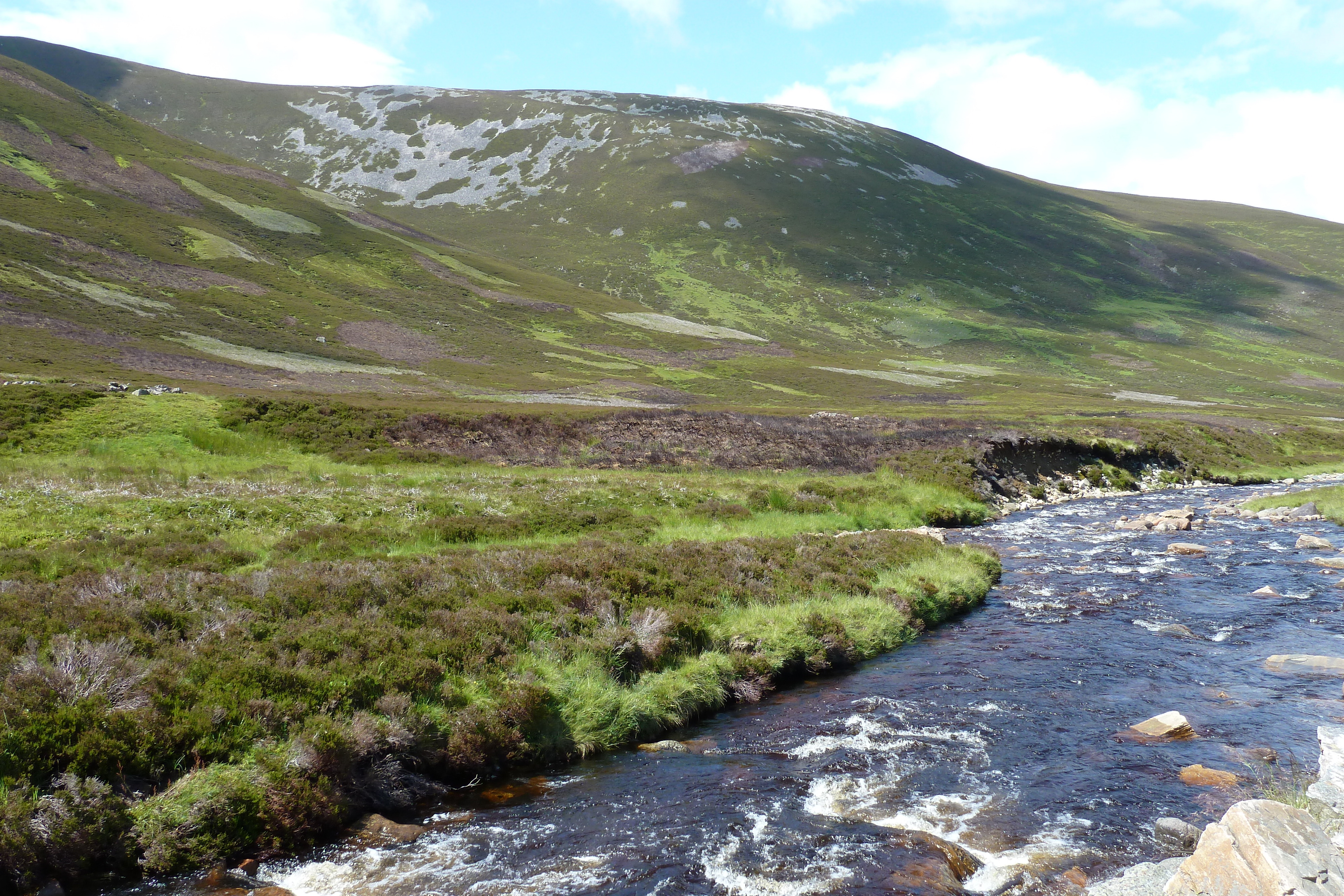 Picture United Kingdom Cairngorms National Park 2011-07 82 - Center Cairngorms National Park