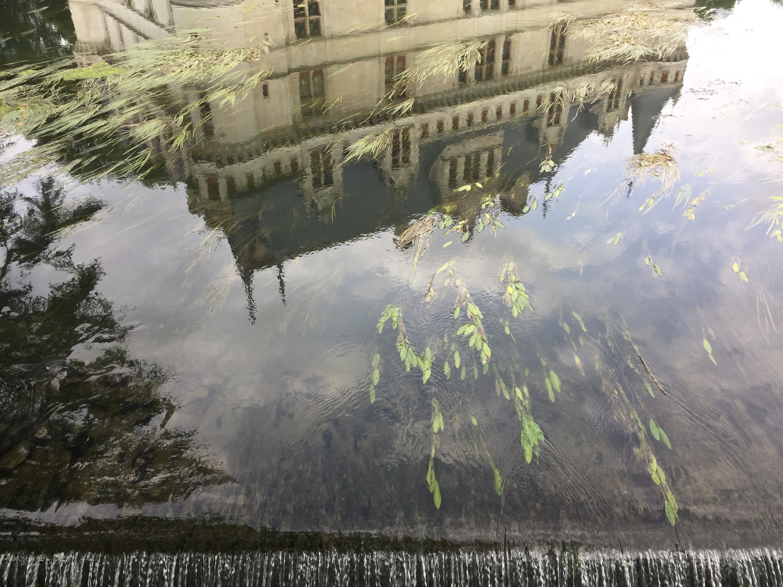 Picture France Azay-le-Rideau Castle 2017-08 41 - Recreation Azay-le-Rideau Castle