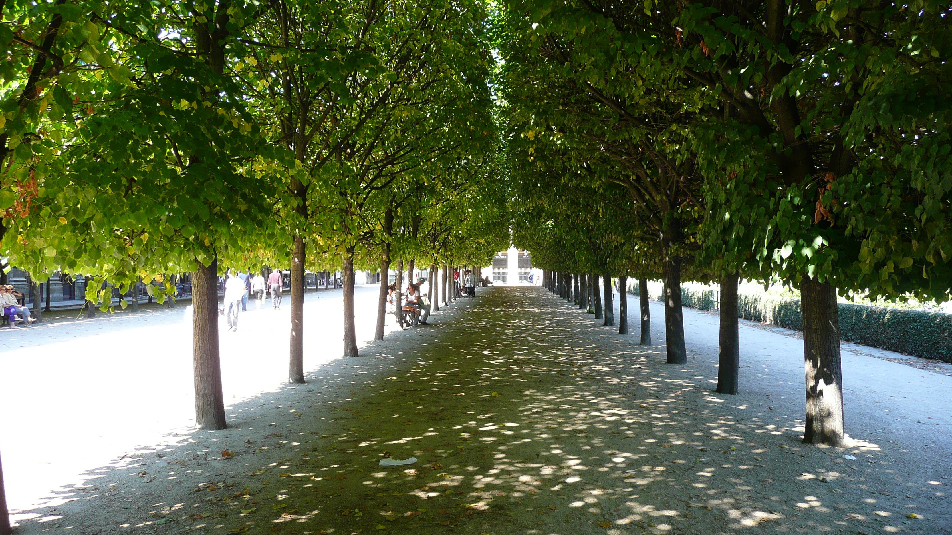 Picture France Paris Palais Royal 2007-08 63 - Center Palais Royal