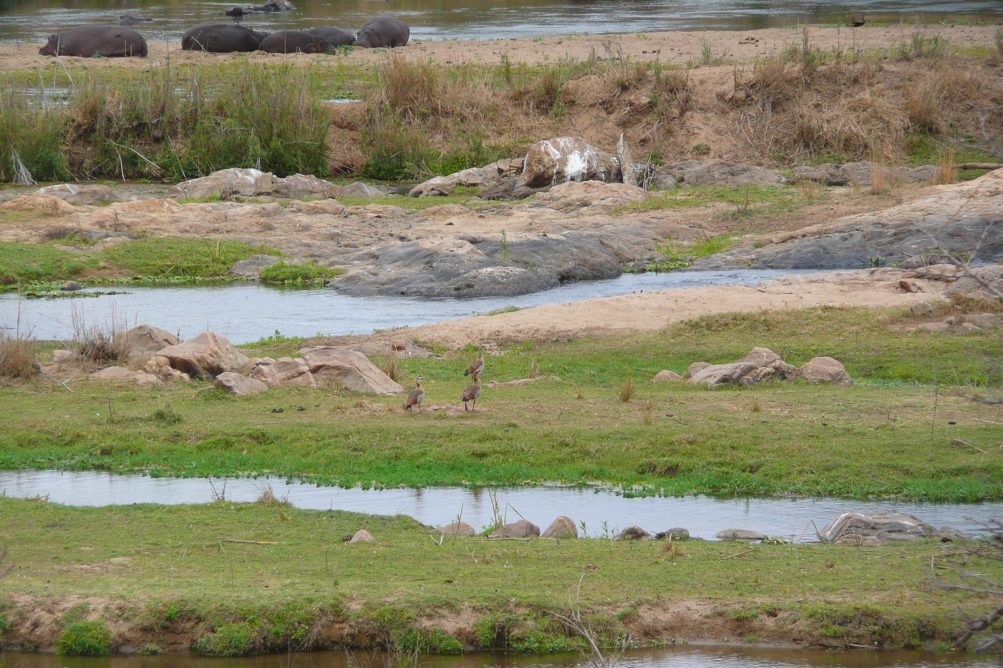 Picture South Africa Kruger National Park Crocodile River 2008-09 60 - History Crocodile River