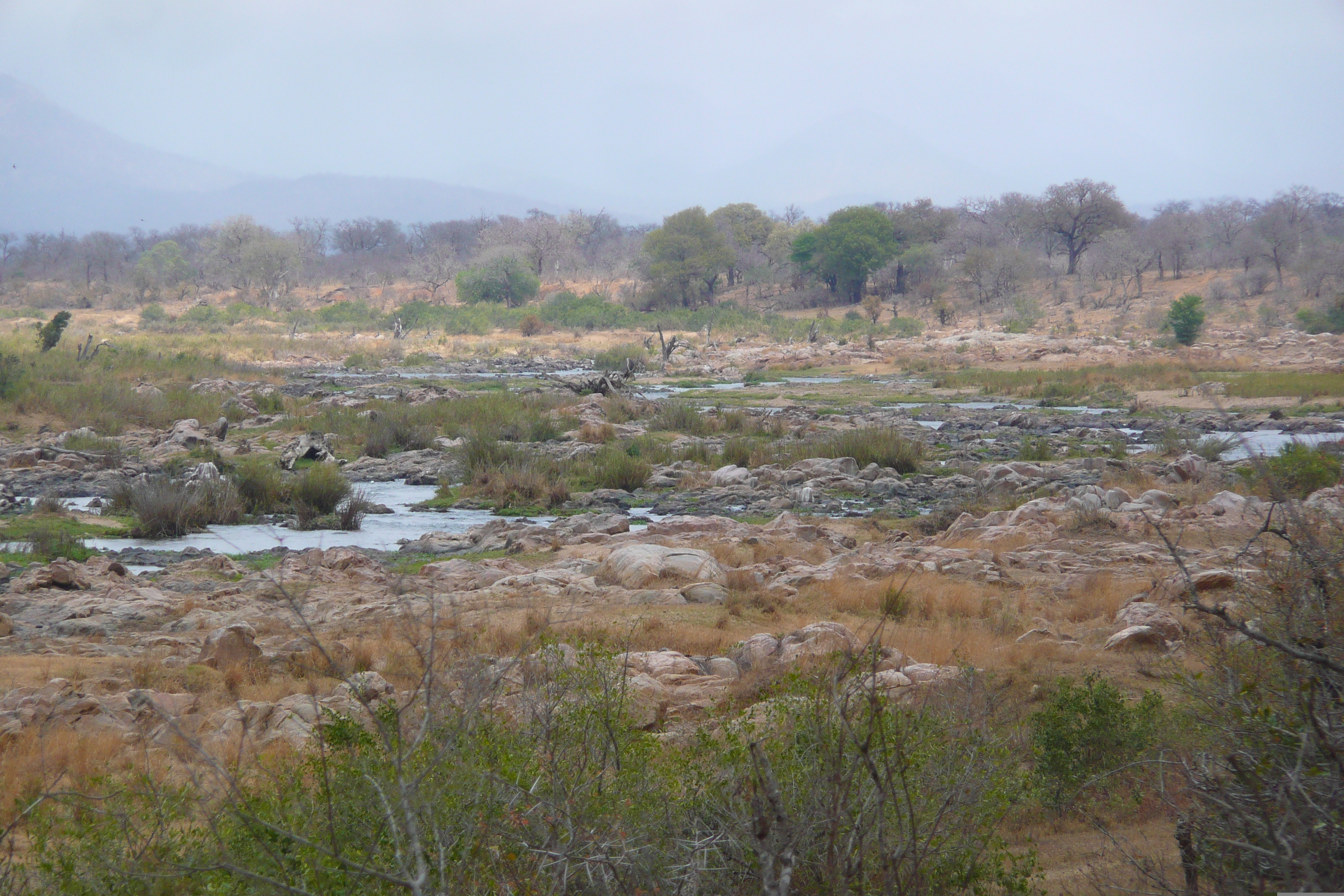 Picture South Africa Kruger National Park Crocodile River 2008-09 58 - Recreation Crocodile River