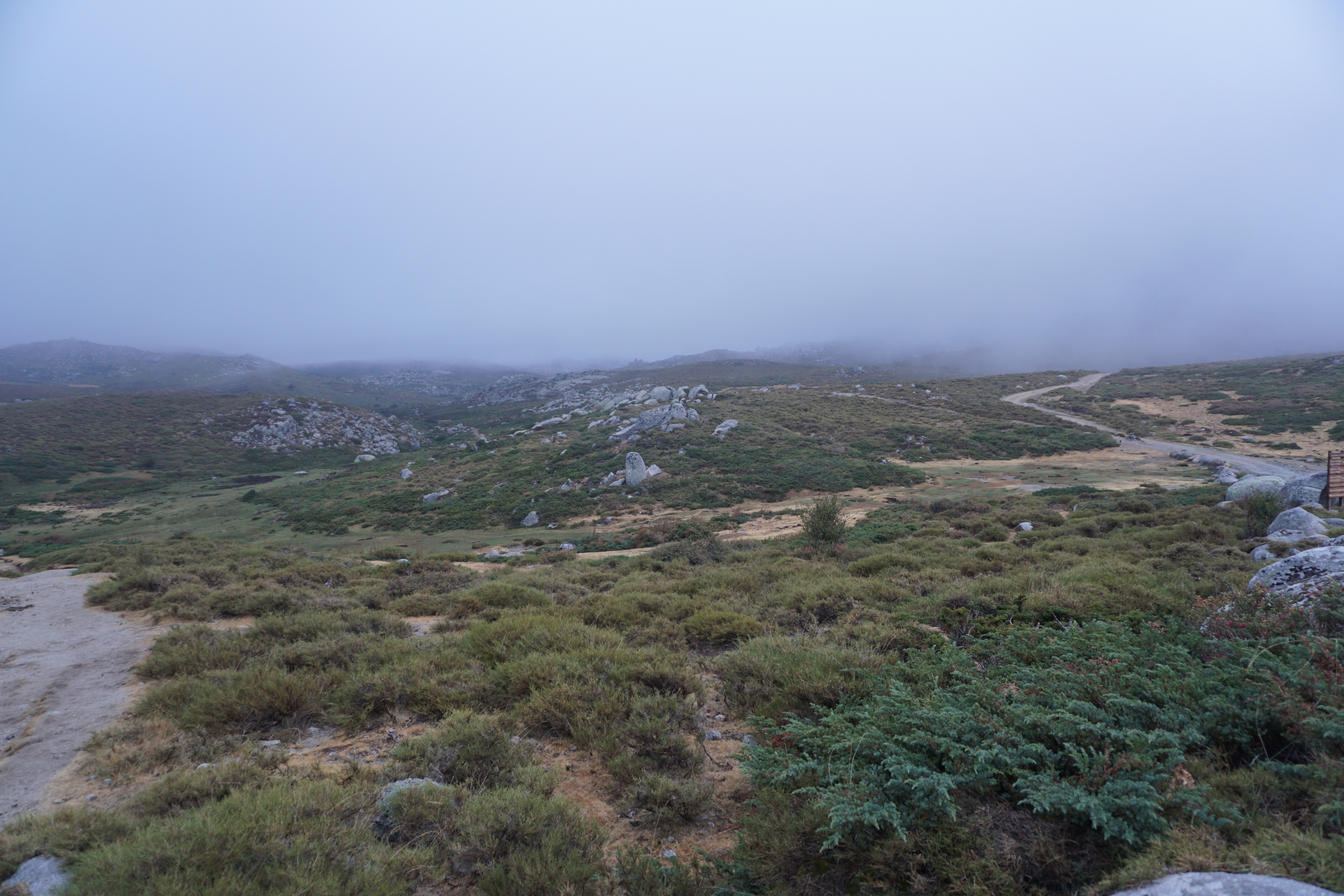 Picture France Corsica Alta Rocca 2017-09 36 - Journey Alta Rocca