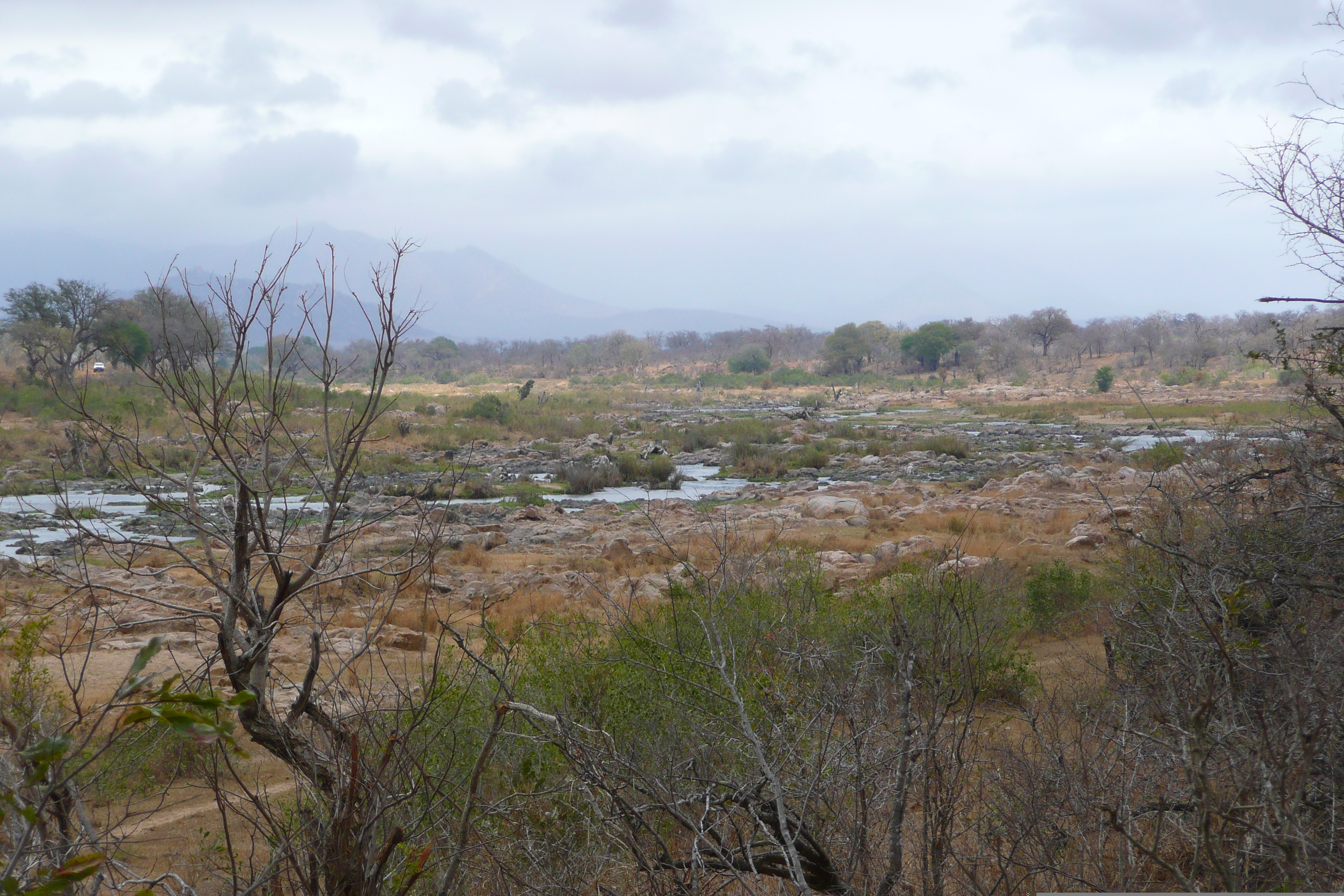 Picture South Africa Kruger National Park Crocodile River 2008-09 56 - Tours Crocodile River