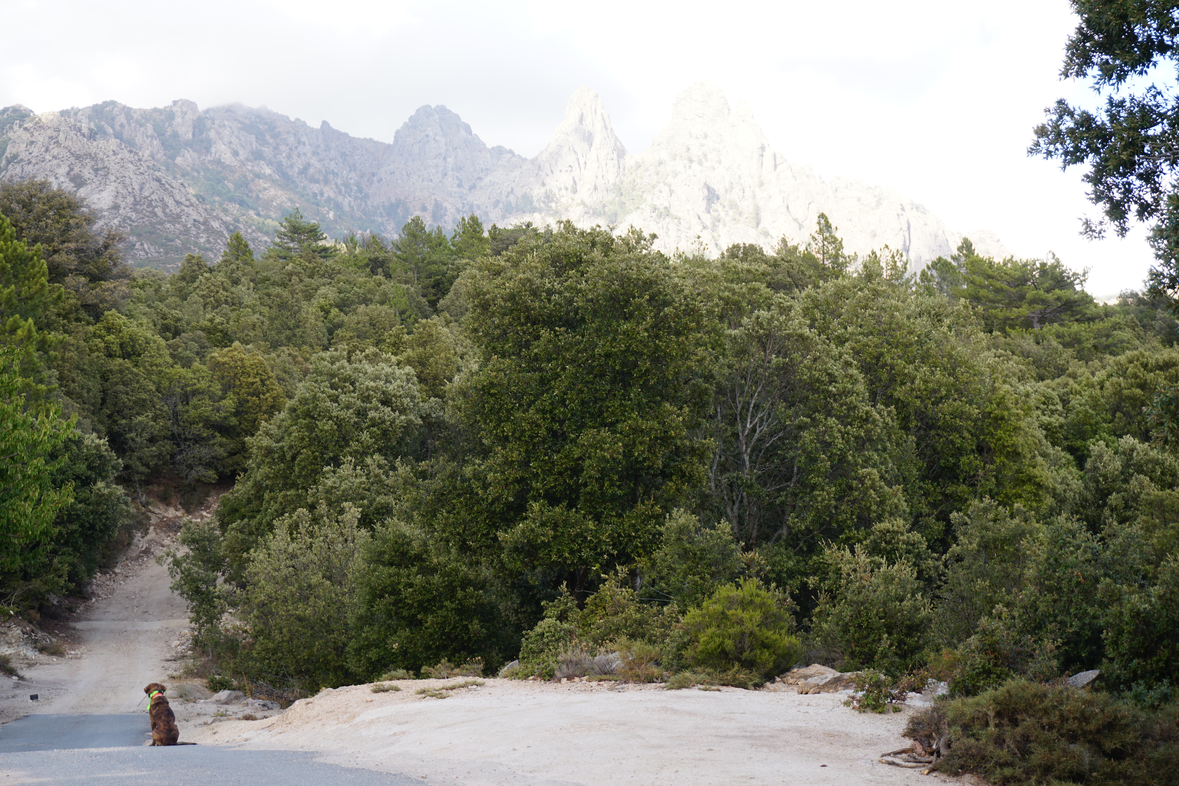 Picture France Corsica Aiguilles de Bavella 2017-09 17 - Discovery Aiguilles de Bavella