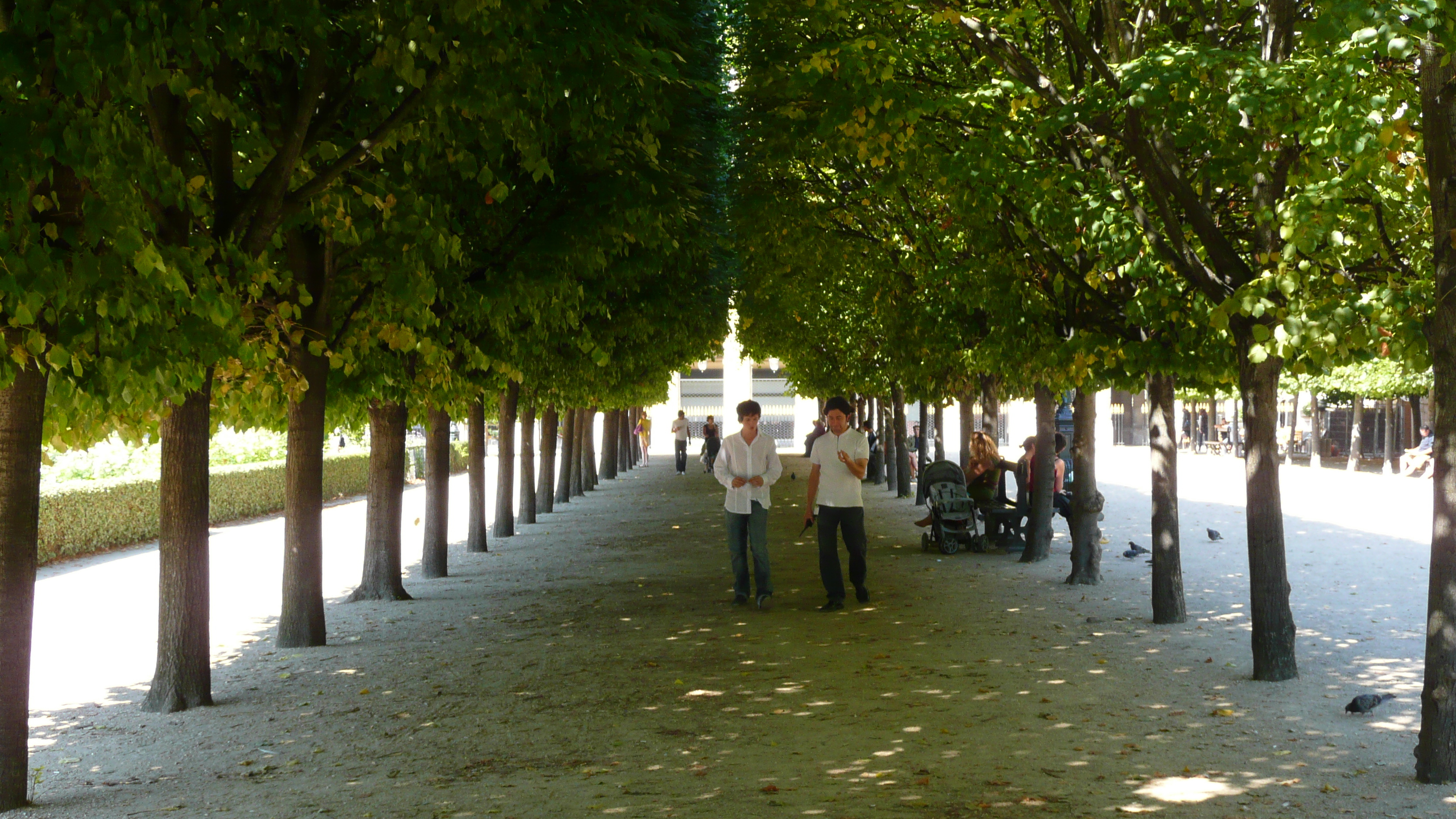 Picture France Paris Palais Royal 2007-08 22 - Tour Palais Royal