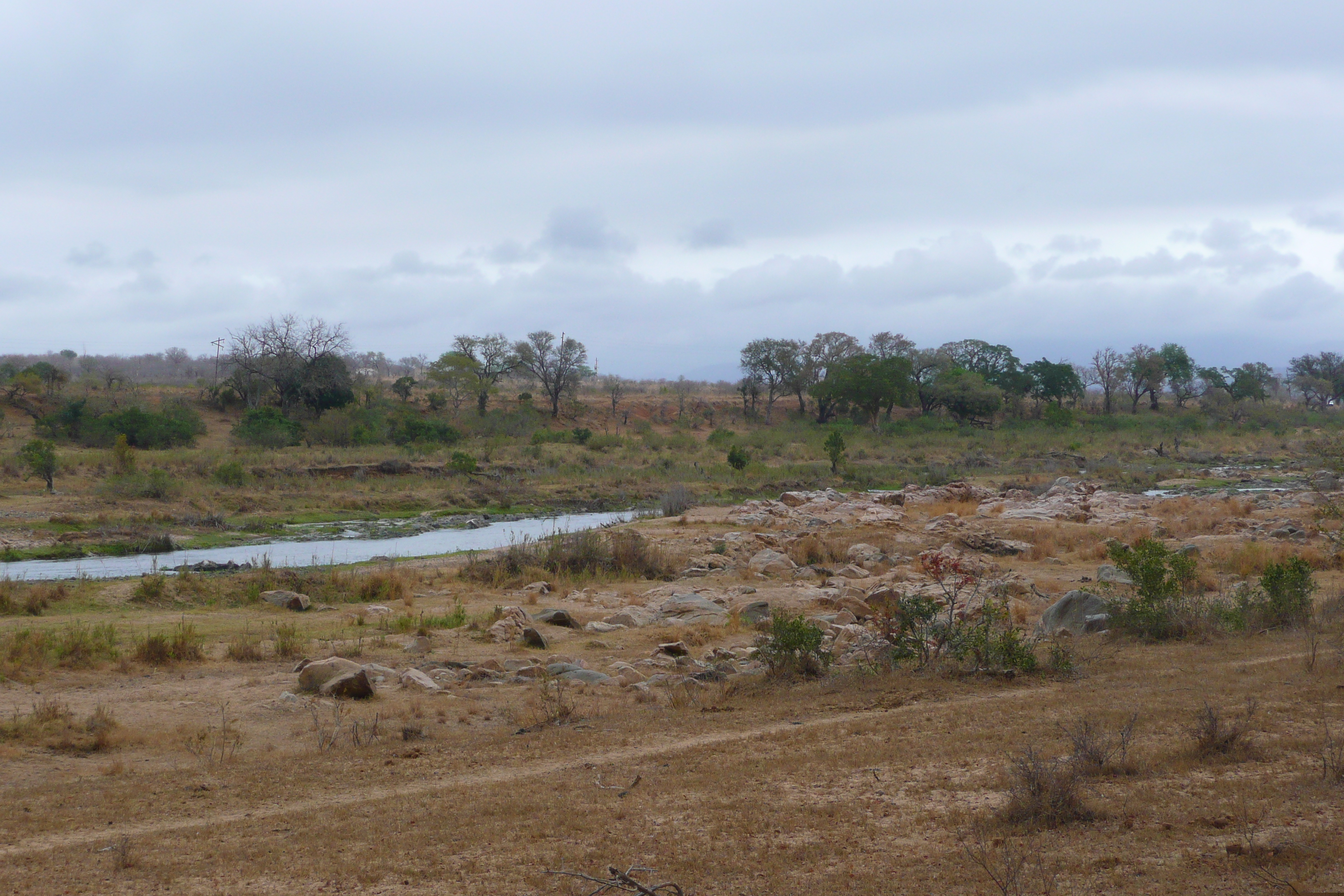 Picture South Africa Kruger National Park Crocodile River 2008-09 69 - Journey Crocodile River