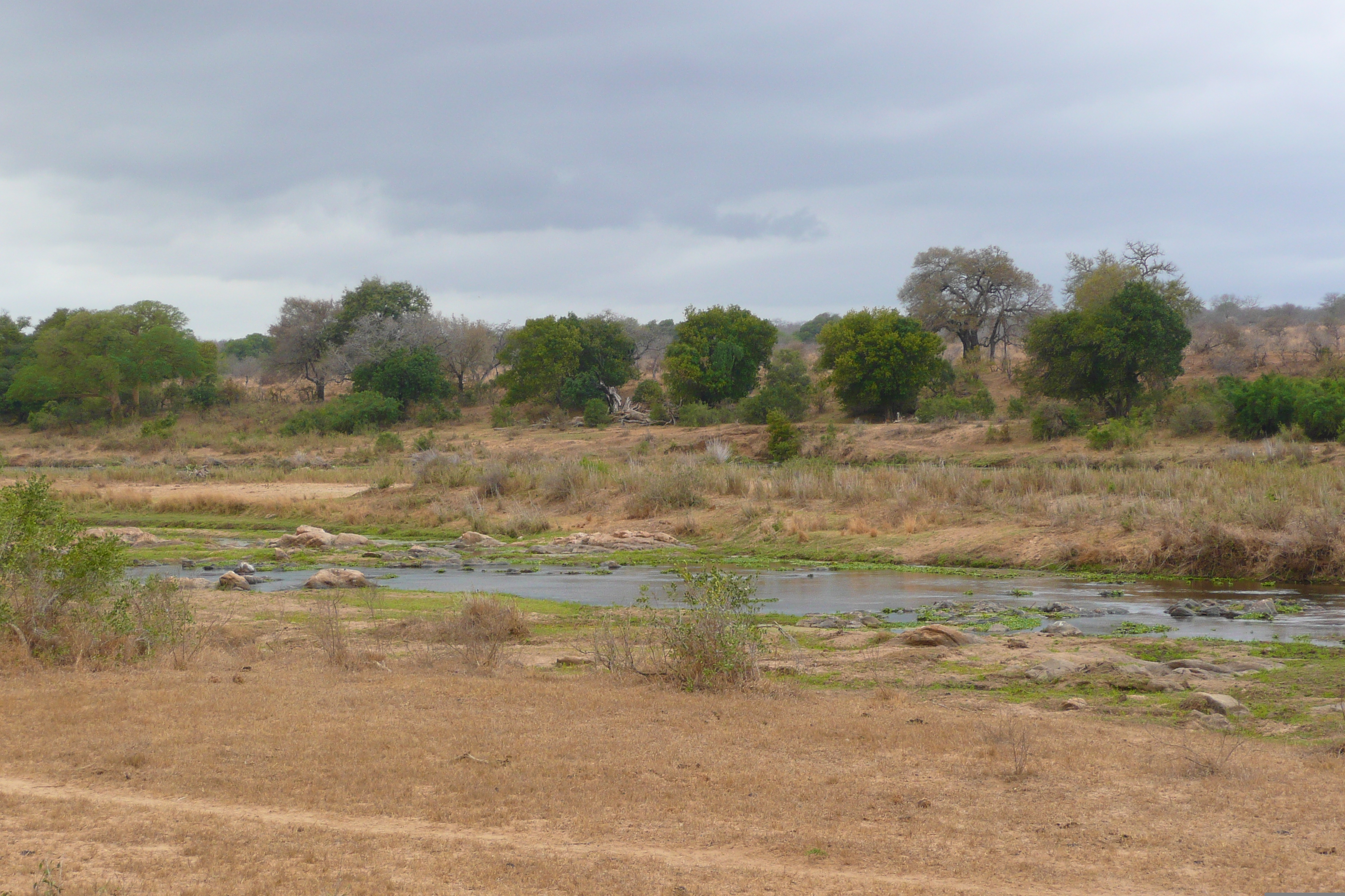 Picture South Africa Kruger National Park Crocodile River 2008-09 65 - Discovery Crocodile River