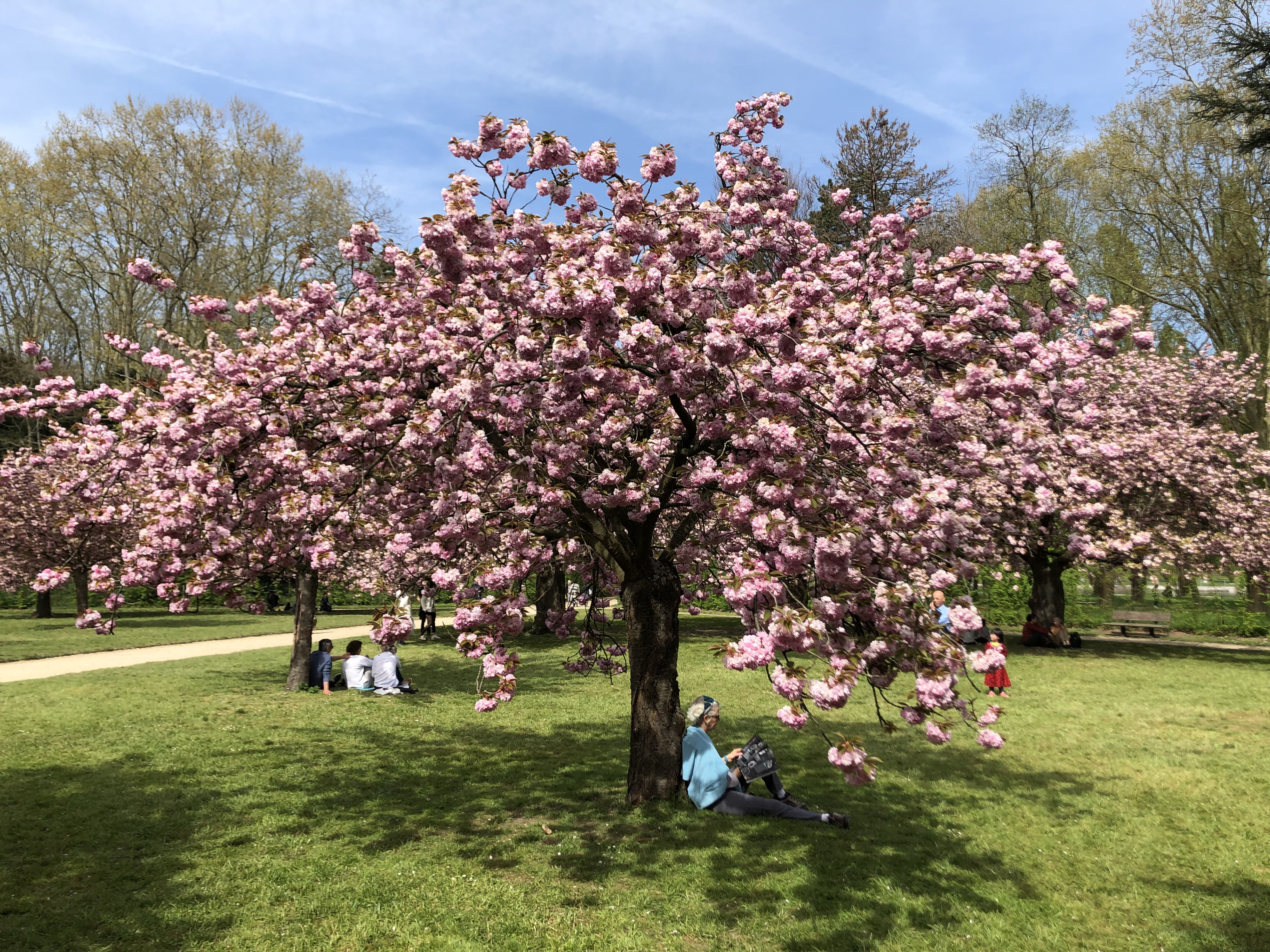 Picture France Parc de Sceaux 2019-04 71 - Tour Parc de Sceaux