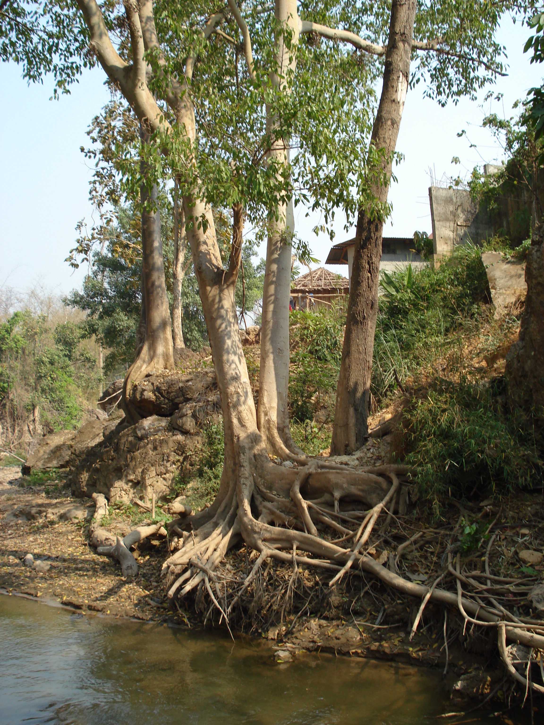 Picture Thailand Pang Mapha 2007-02 115 - History Pang Mapha