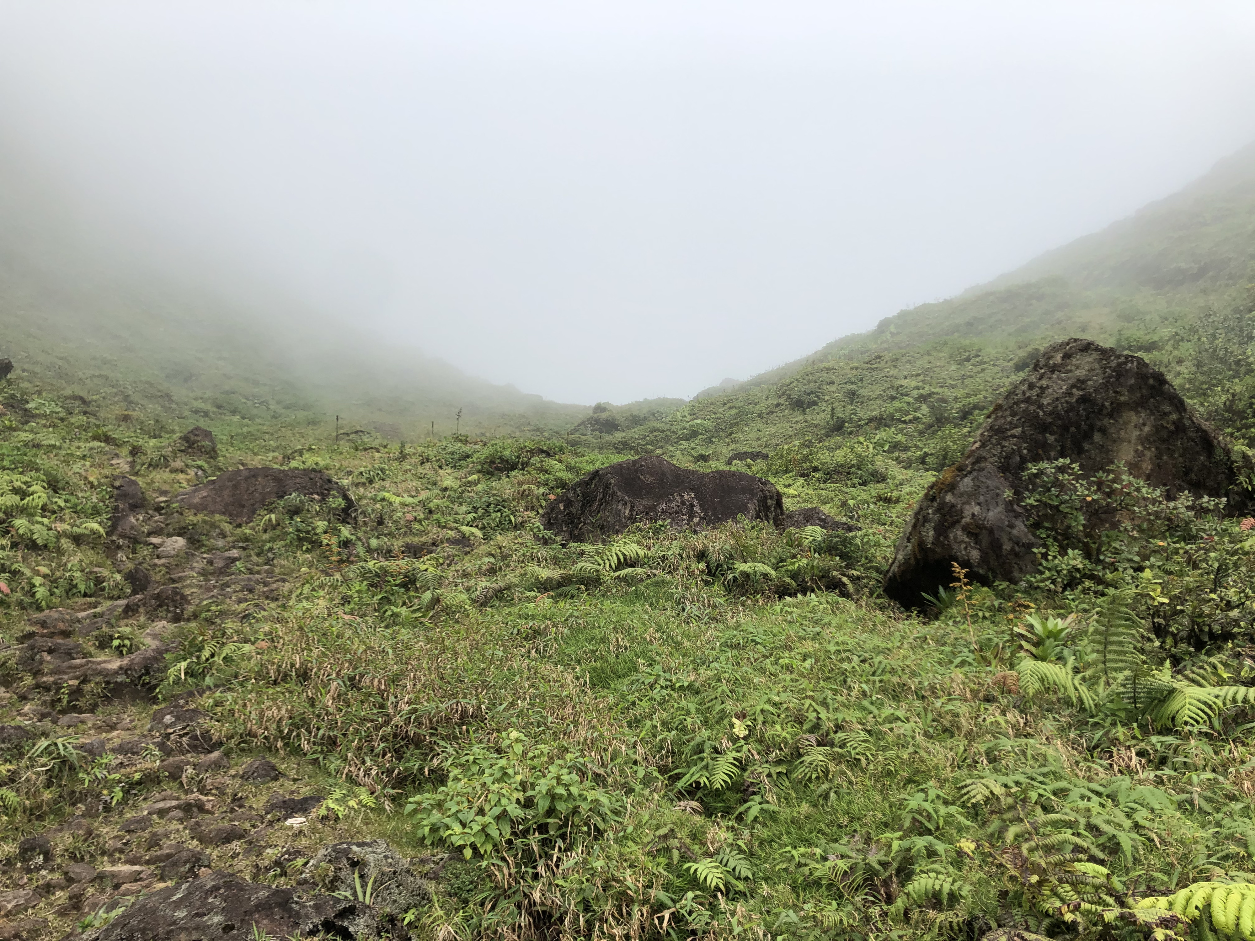 Picture Guadeloupe La Grande Soufriere 2021-02 56 - Tours La Grande Soufriere