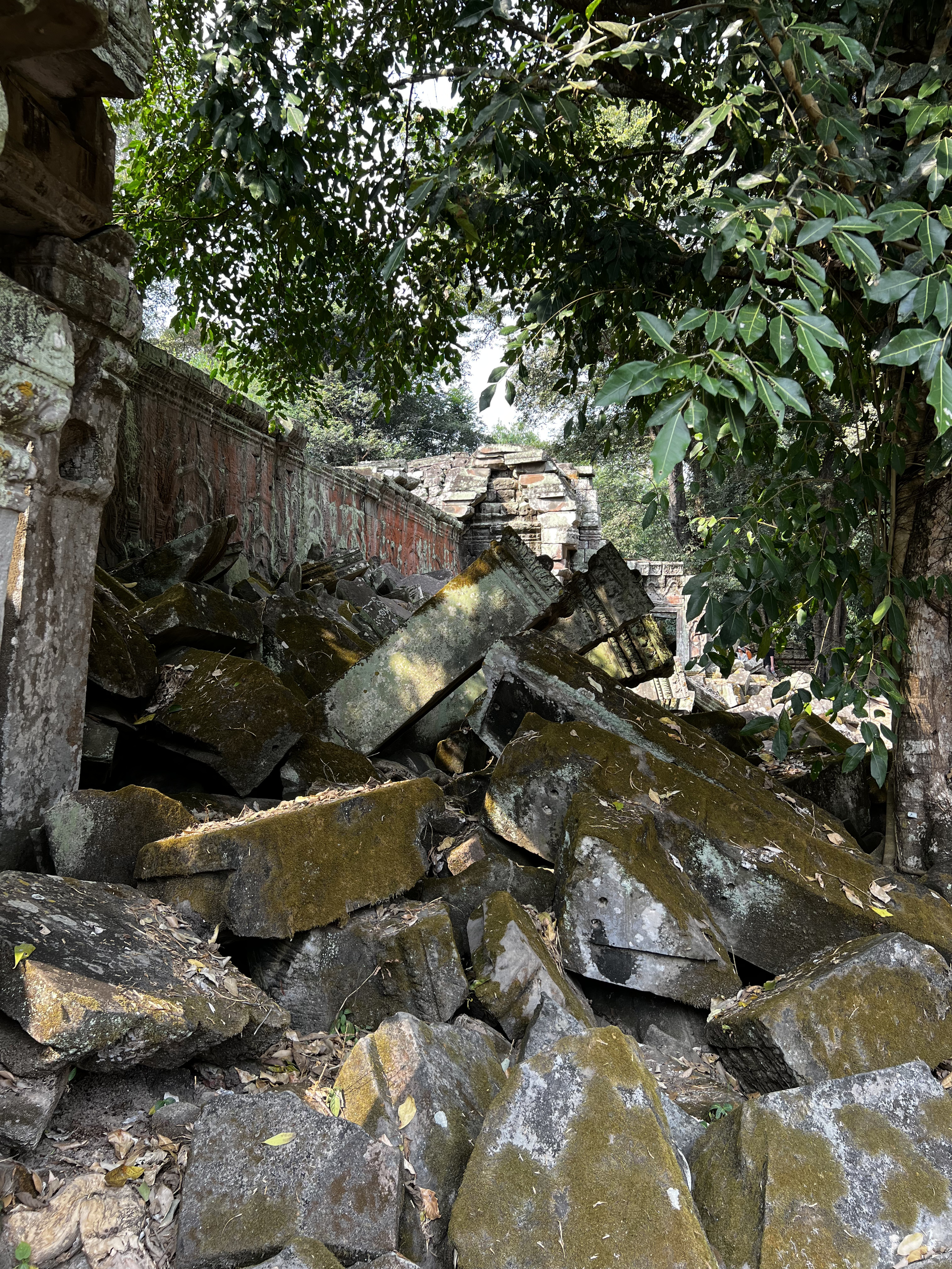 Picture Cambodia Siem Reap Ta Prohm 2023-01 147 - Tours Ta Prohm