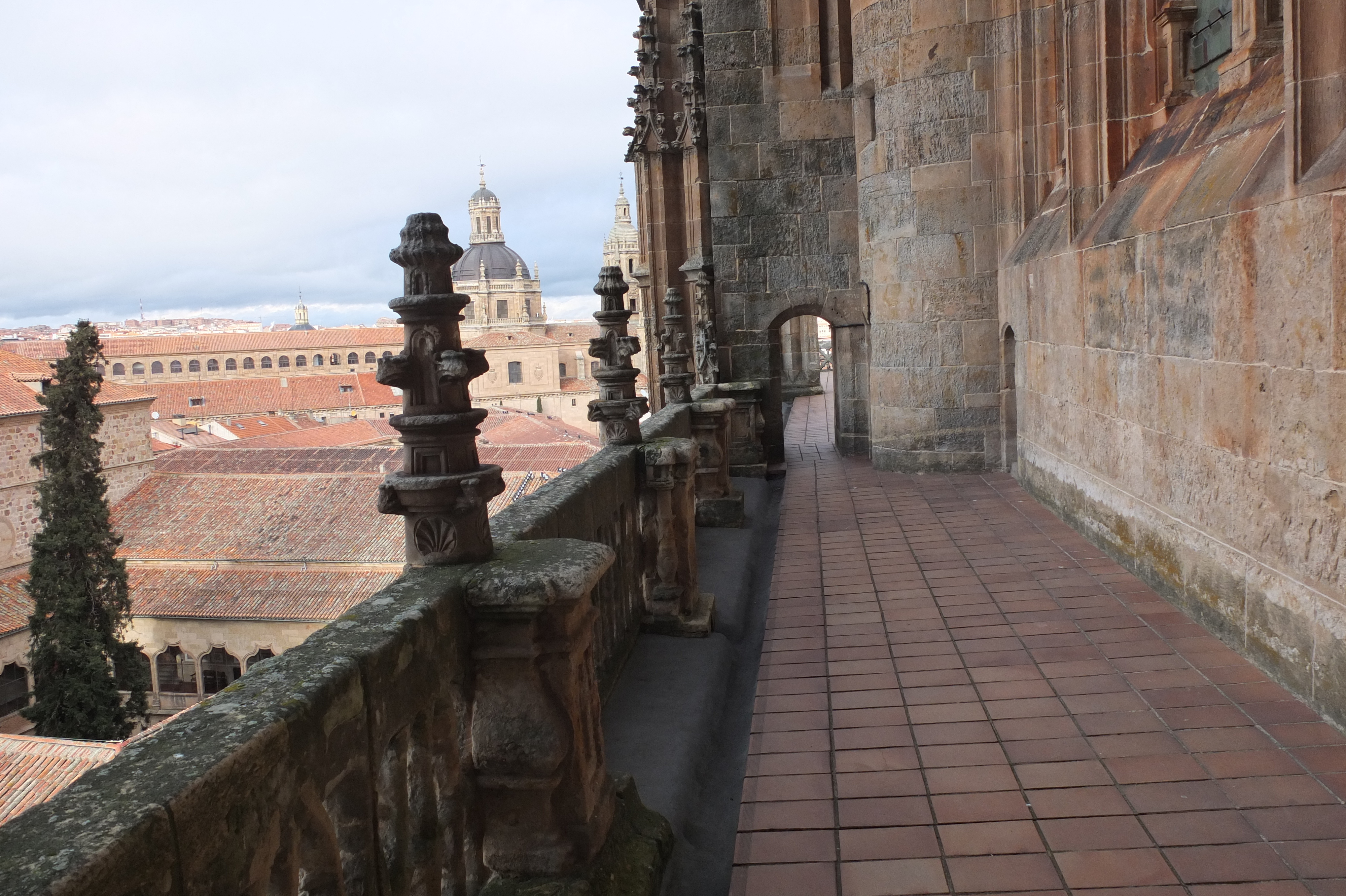 Picture Spain Salamanca 2013-01 152 - History Salamanca