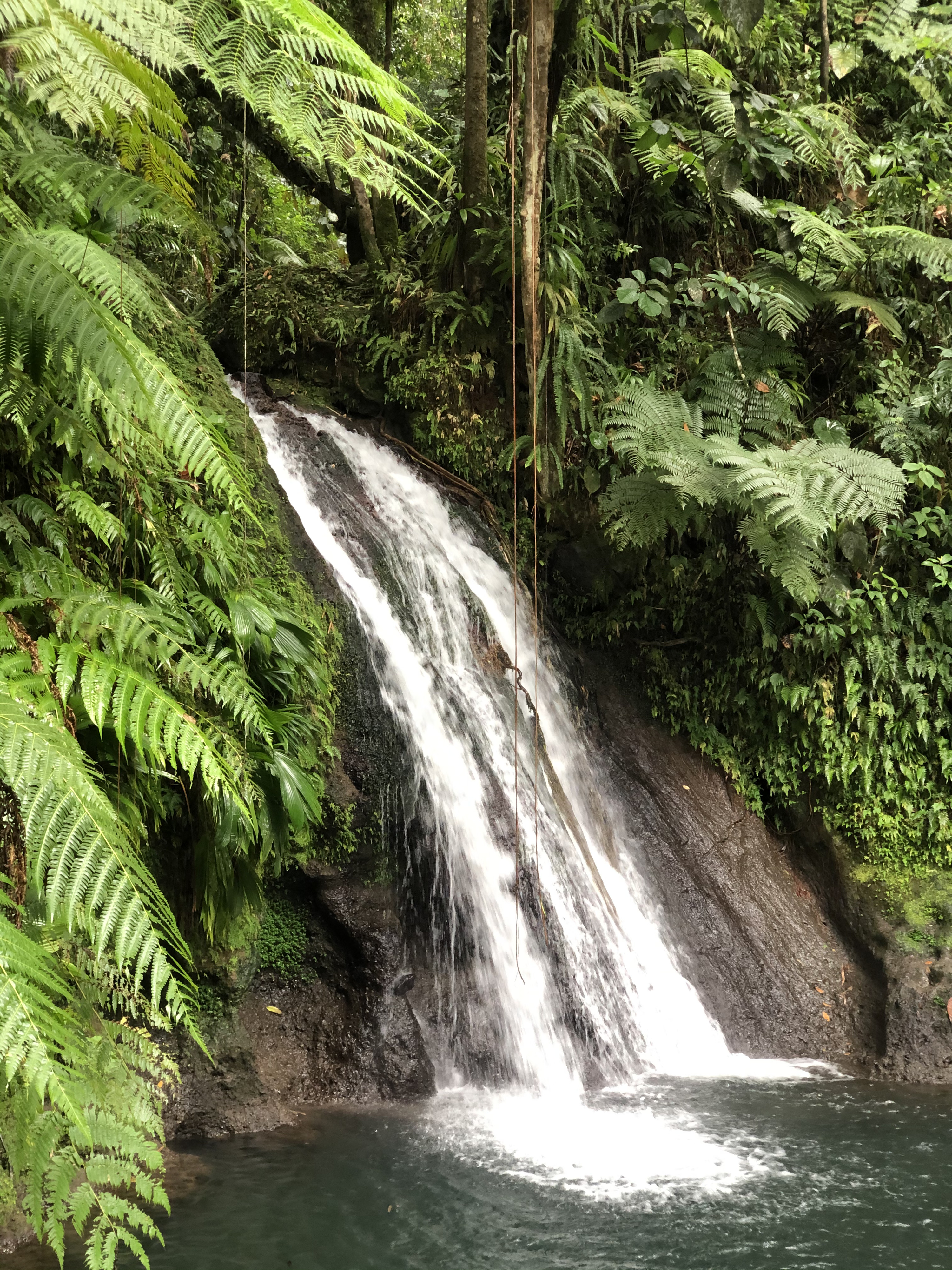 Picture Guadeloupe Cascade aux ecrevisses 2021-02 11 - Journey Cascade aux ecrevisses