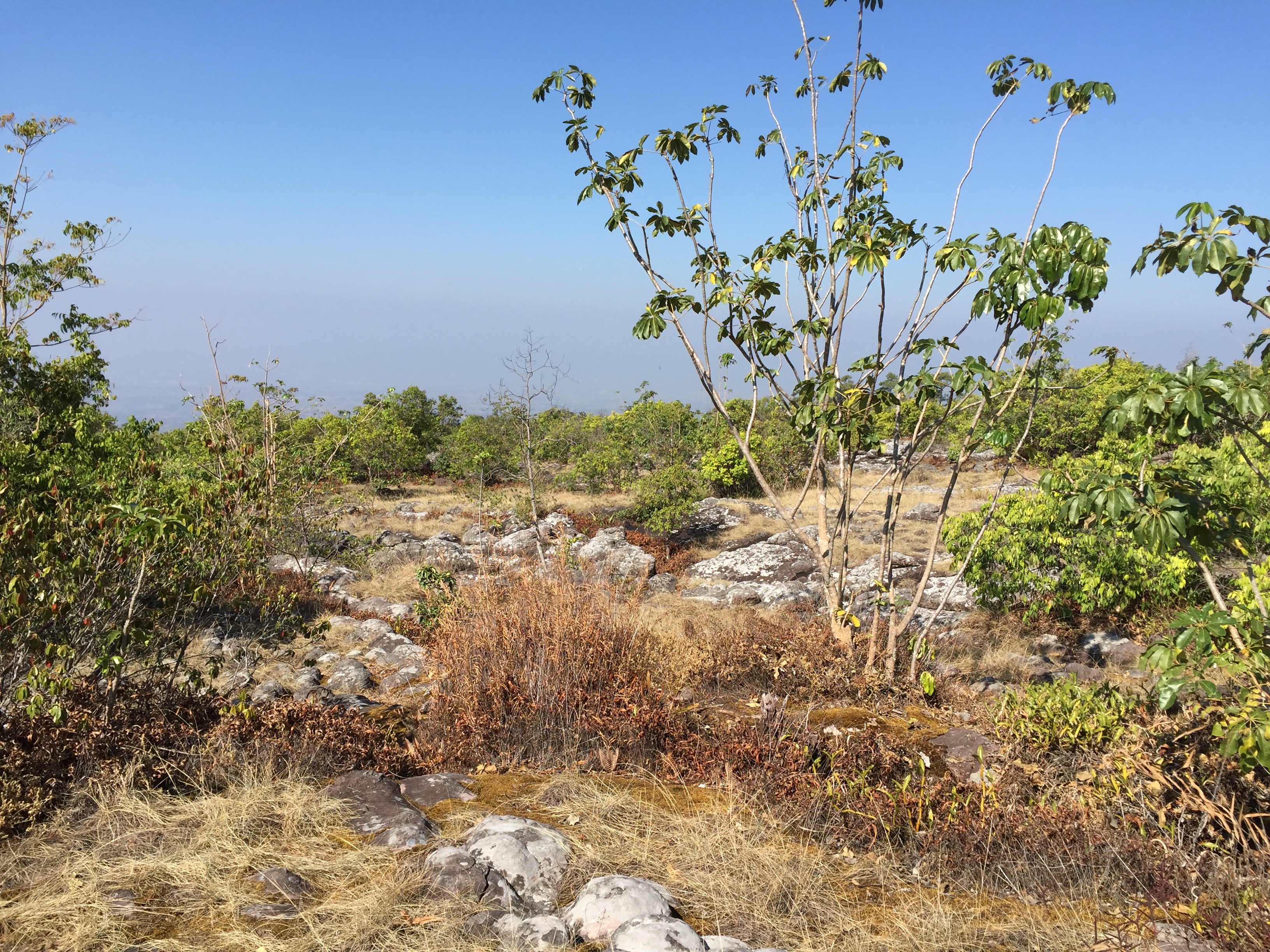 Picture Thailand Phu Hin Rong Kla National Park 2014-12 101 - Tours Phu Hin Rong Kla National Park