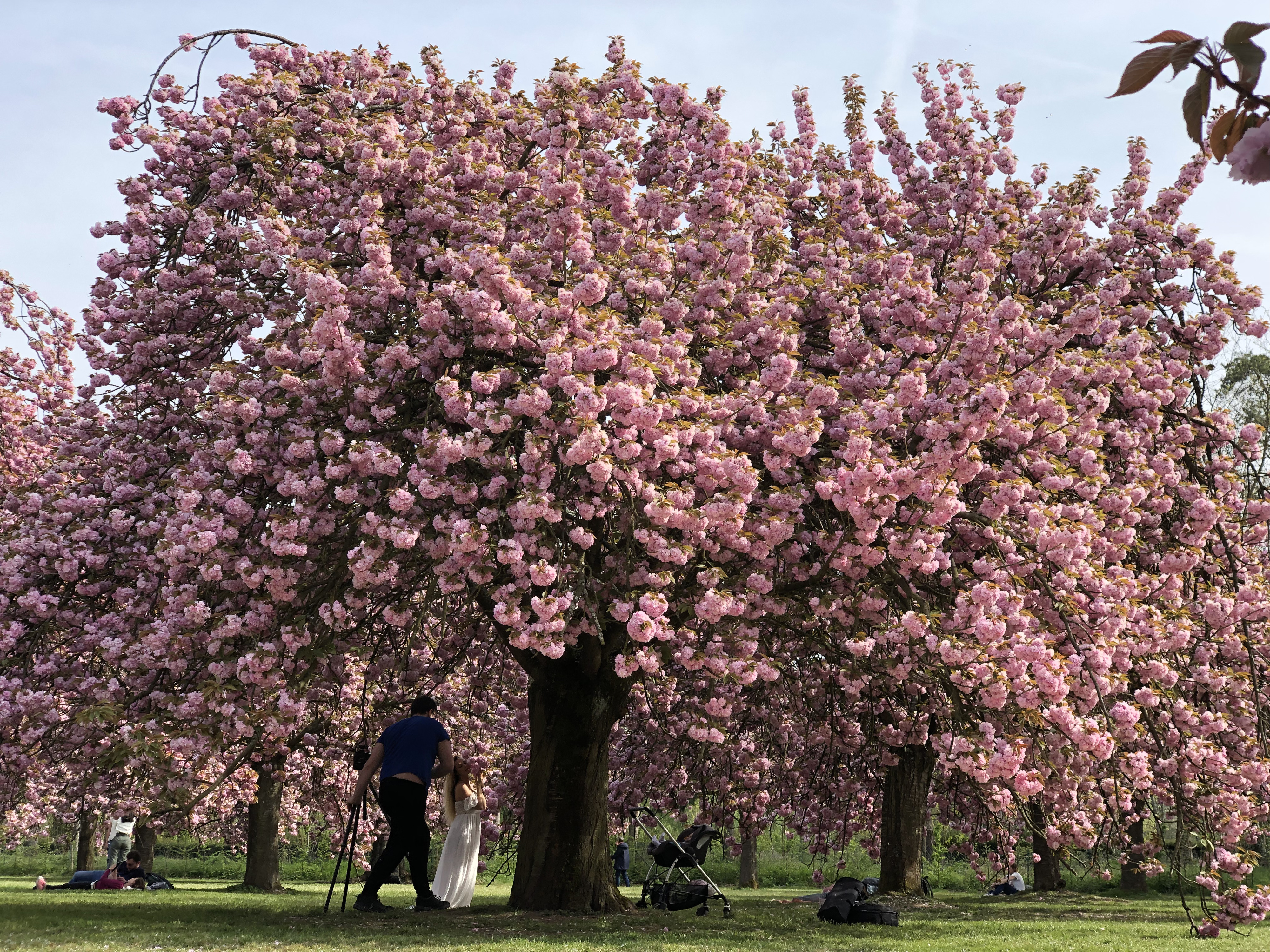 Picture France Parc de Sceaux 2019-04 37 - Tour Parc de Sceaux