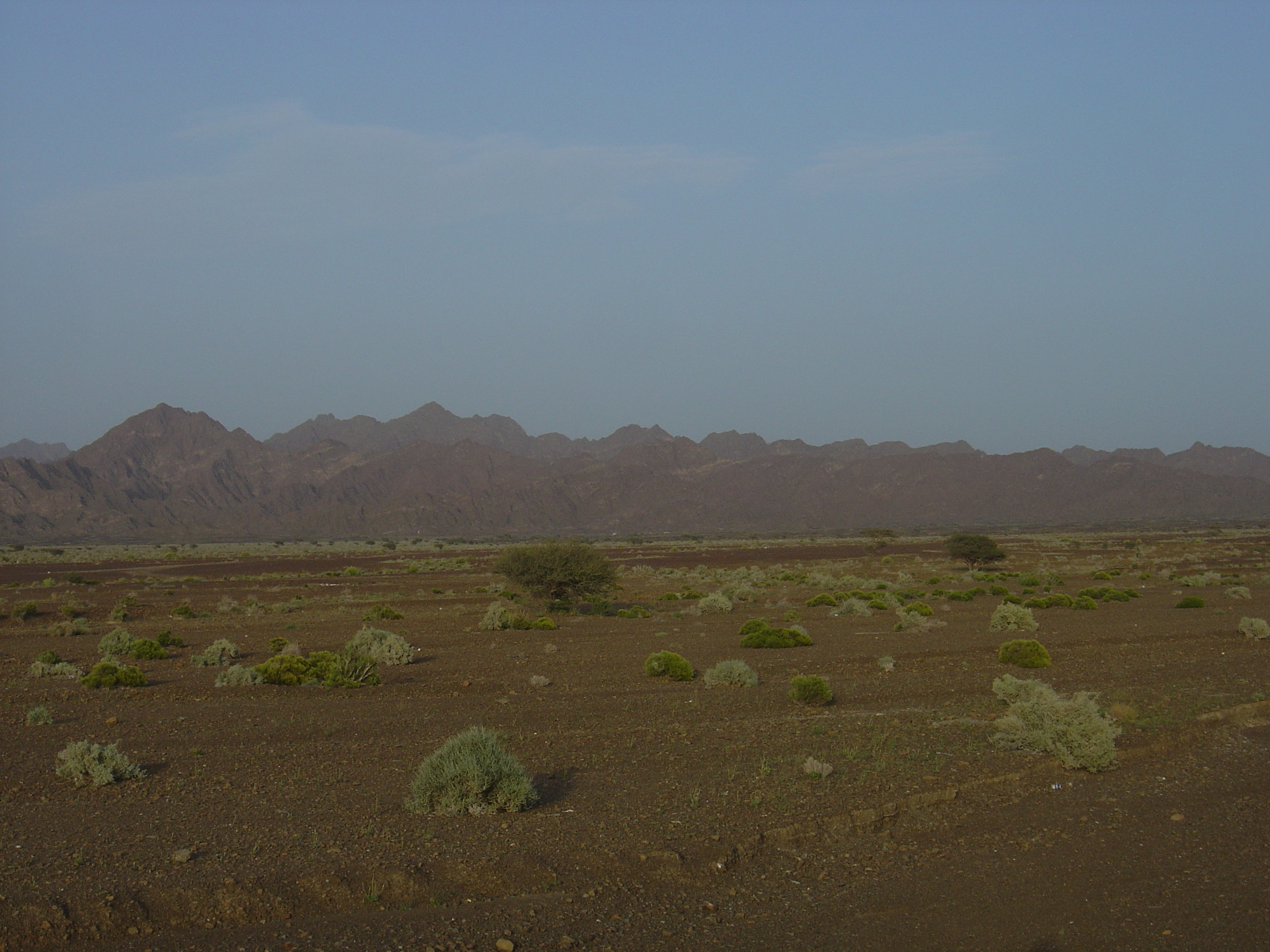 Picture Sultanate of Oman Buraimi to Mahada road 2005-03 24 - History Buraimi to Mahada road