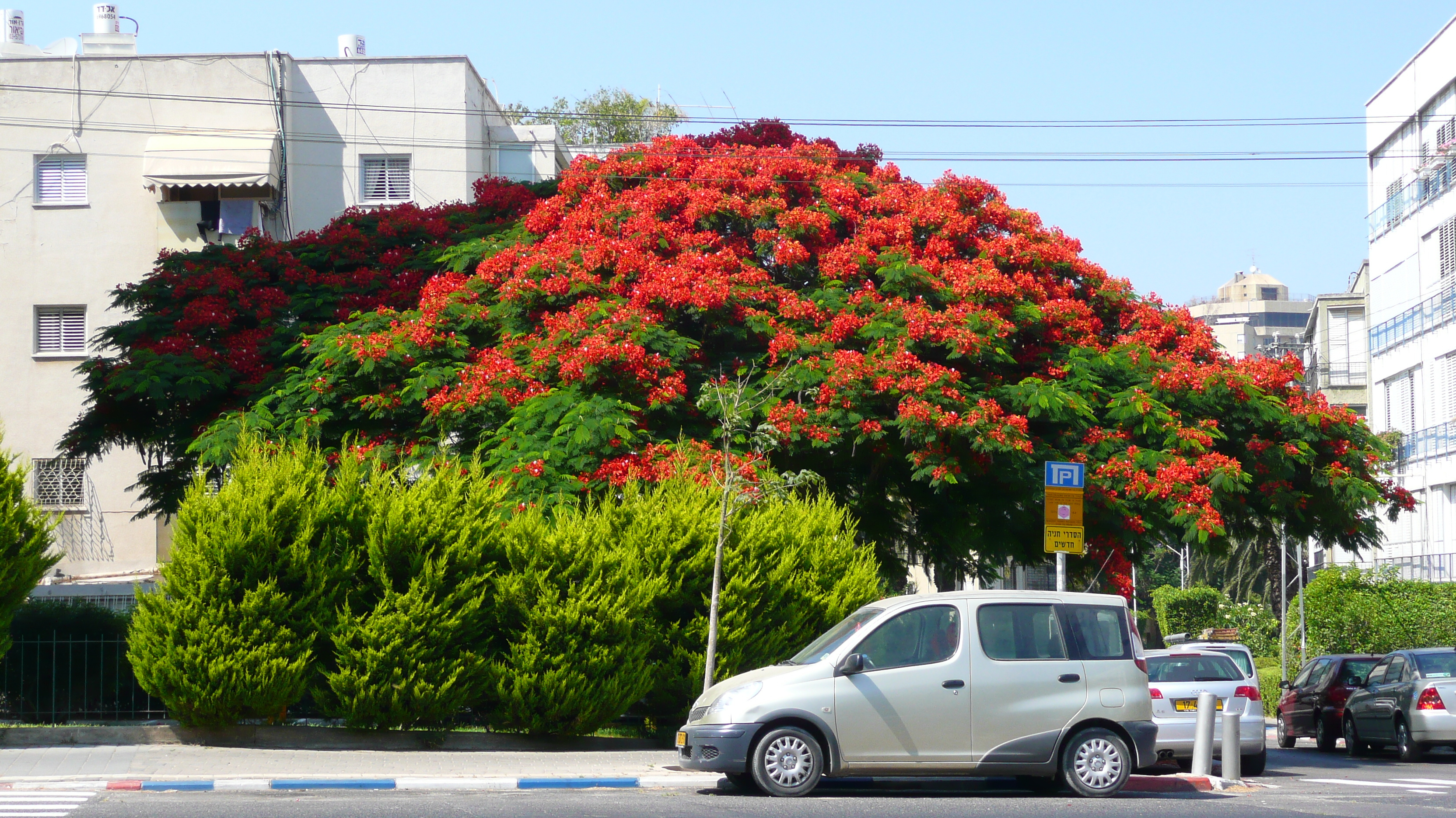 Picture Israel Tel Aviv Jabotinsky Street 2007-06 6 - Around Jabotinsky Street