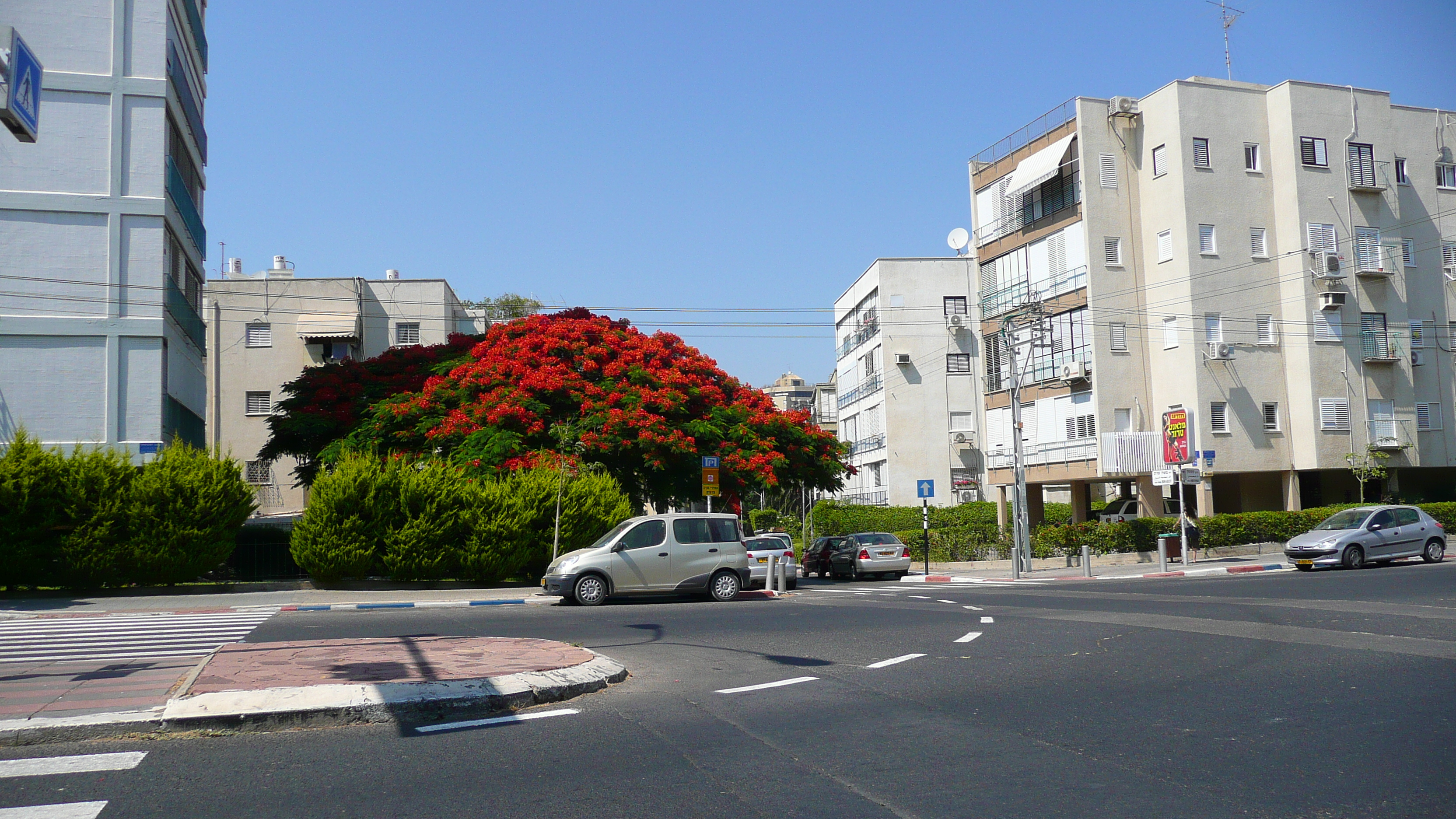 Picture Israel Tel Aviv Jabotinsky Street 2007-06 9 - Recreation Jabotinsky Street