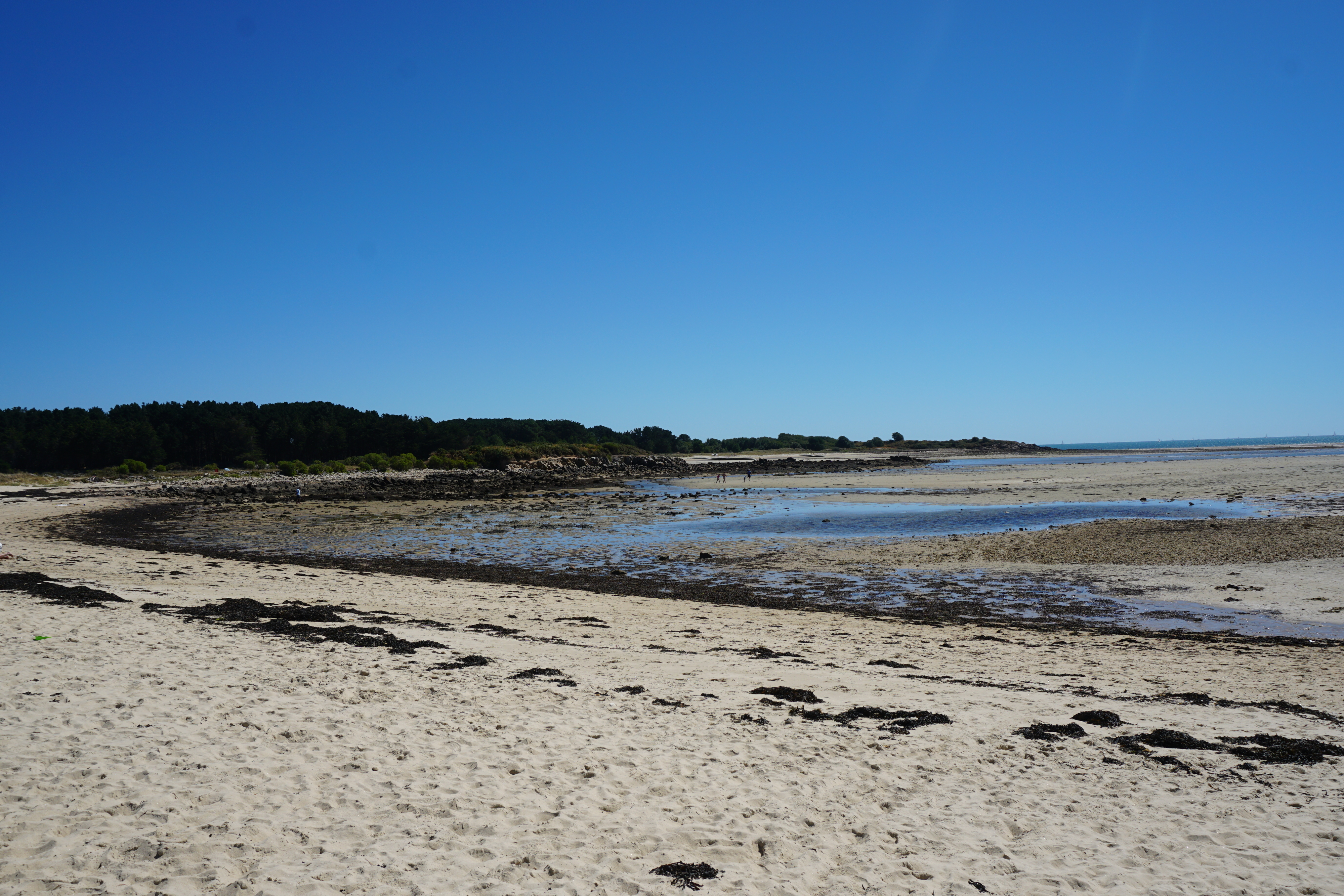 Picture France La Trinite-sur-Mer 2016-08 2 - Center La Trinite-sur-Mer