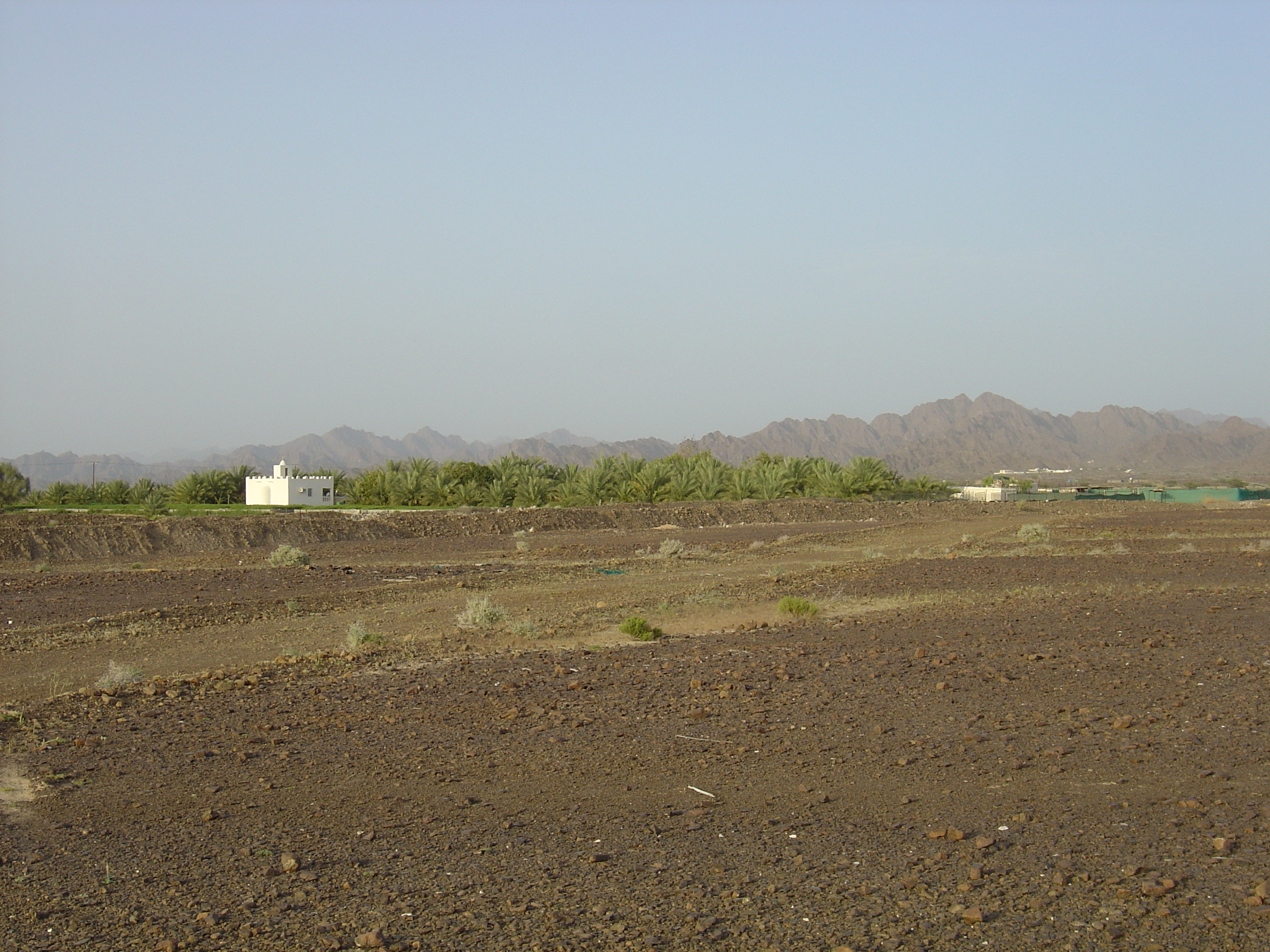 Picture Sultanate of Oman Buraimi to Mahada road 2005-03 21 - Tour Buraimi to Mahada road