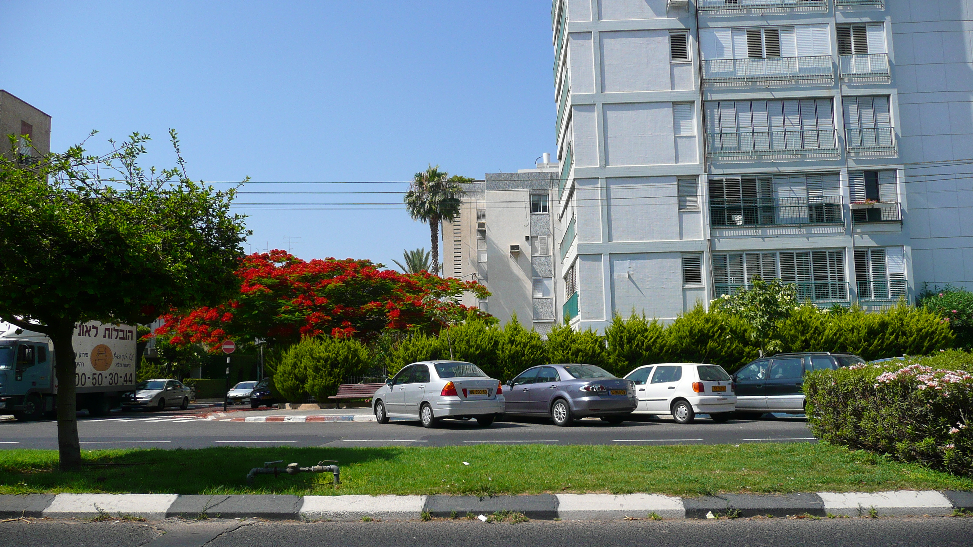 Picture Israel Tel Aviv Jabotinsky Street 2007-06 24 - Tours Jabotinsky Street