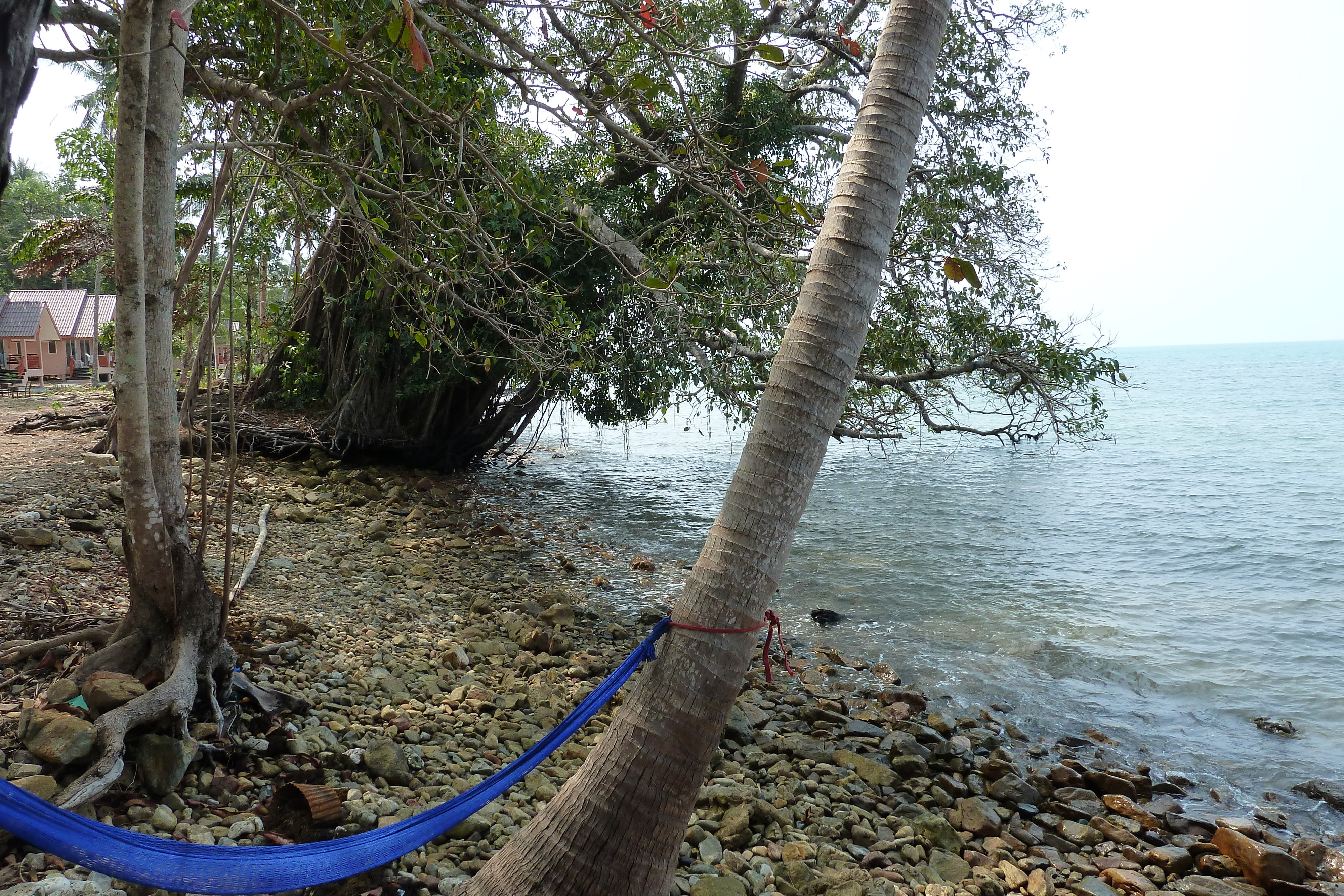 Picture Thailand Ko Chang Klong Prao beach 2011-02 59 - Around Klong Prao beach