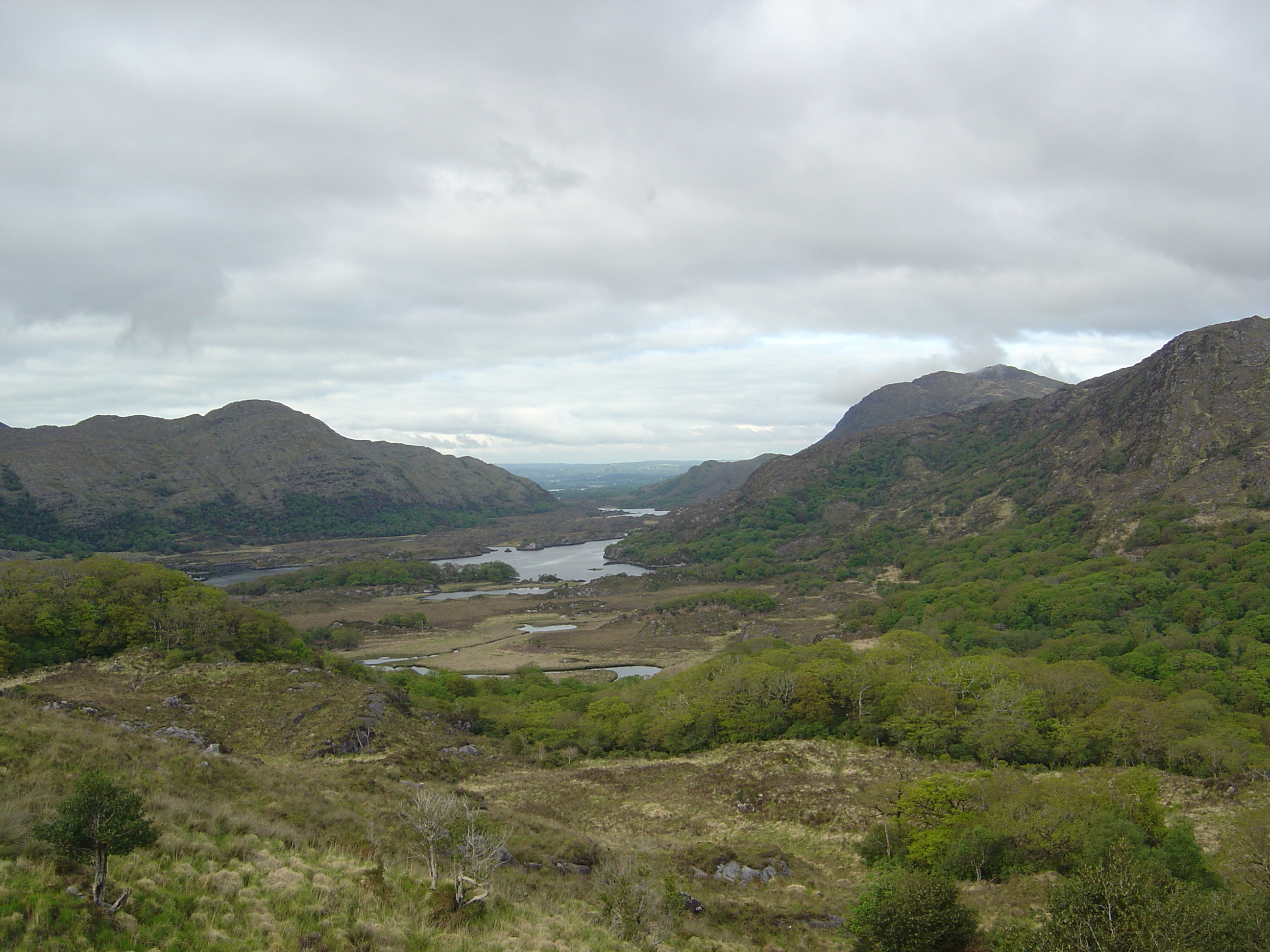 Picture Ireland Kerry Killarney National Park 2004-05 47 - Tour Killarney National Park