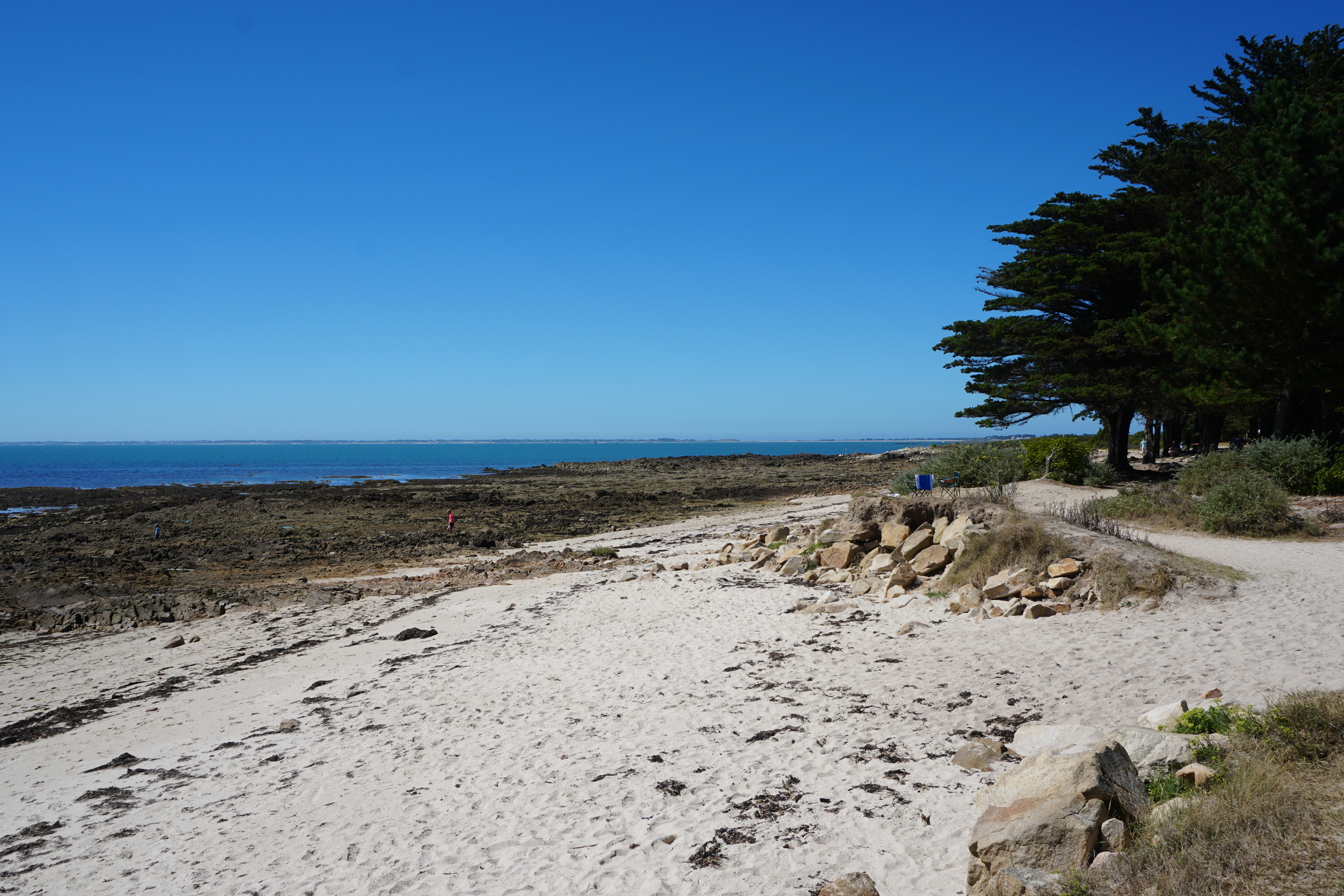 Picture France La Trinite-sur-Mer 2016-08 24 - Discovery La Trinite-sur-Mer