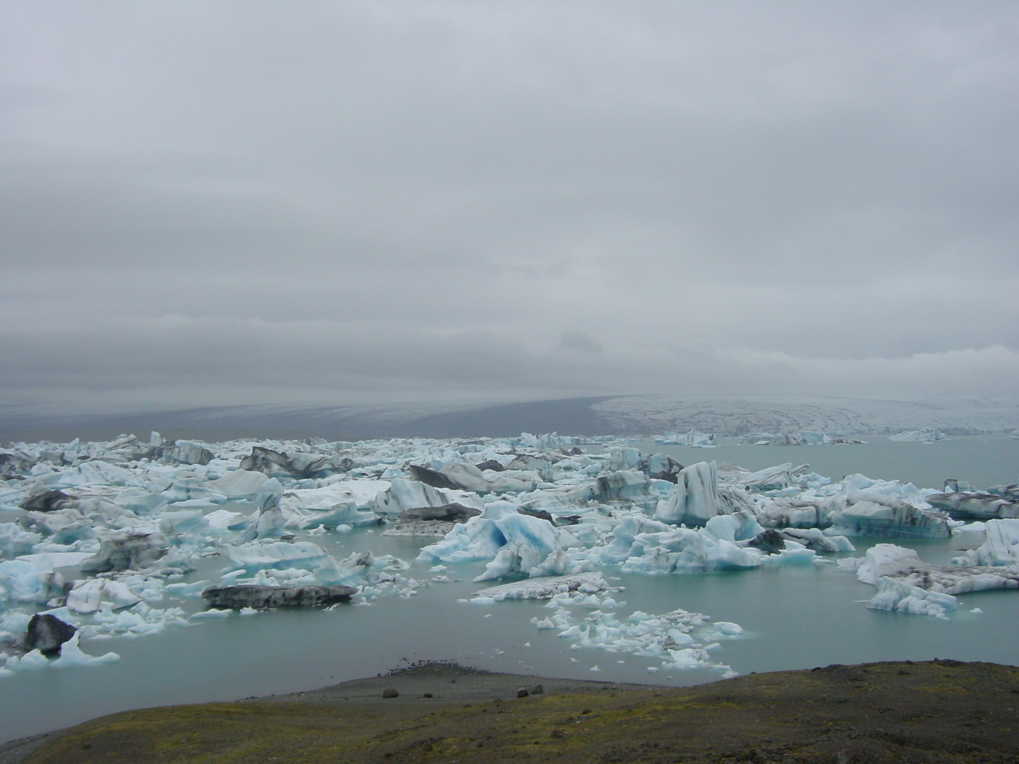 Picture Iceland Jokulsarlon 2003-06 28 - Around Jokulsarlon