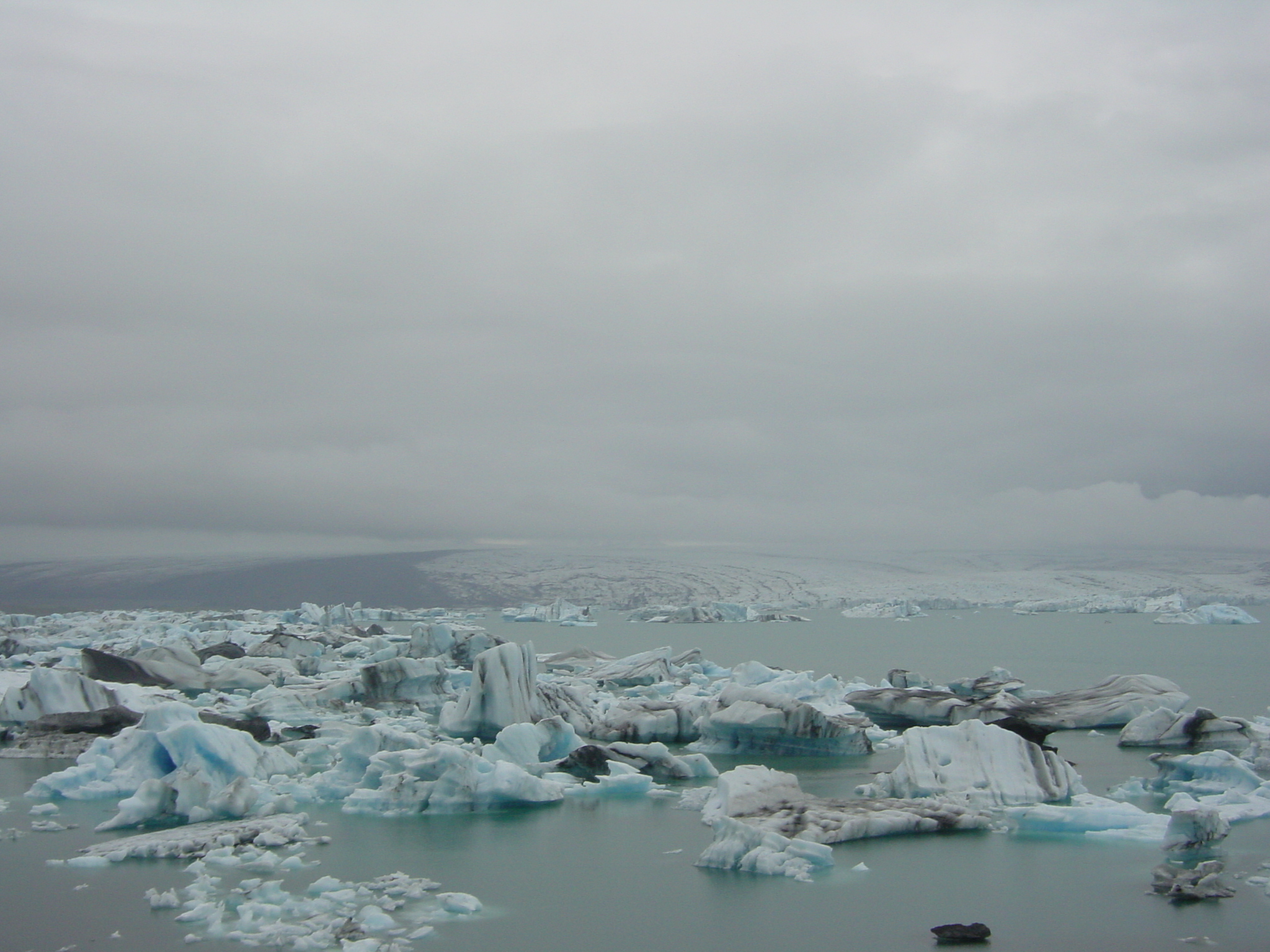 Picture Iceland Jokulsarlon 2003-06 26 - Tours Jokulsarlon