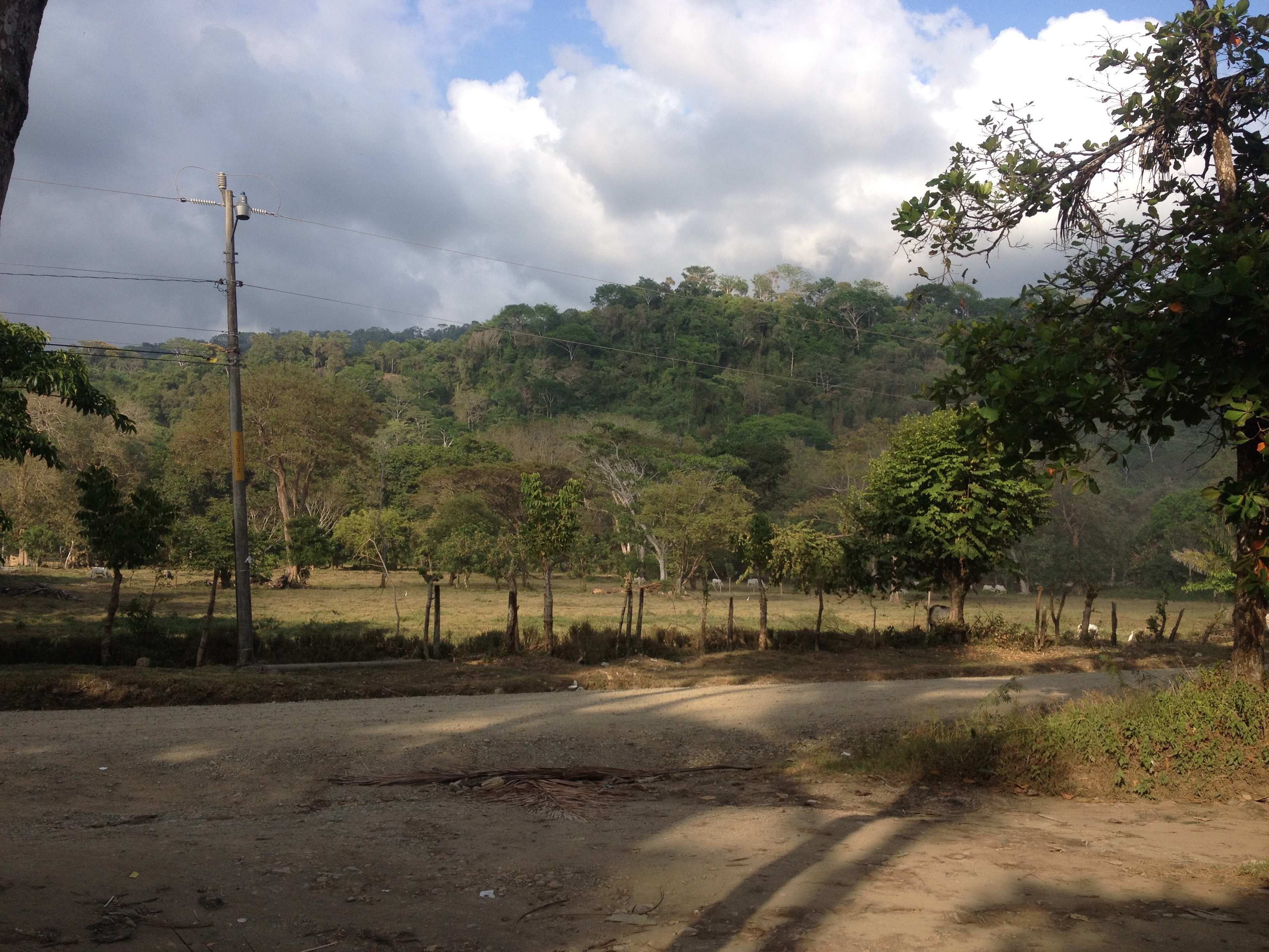 Picture Costa Rica Dominical 2015-03 125 - Tours Dominical