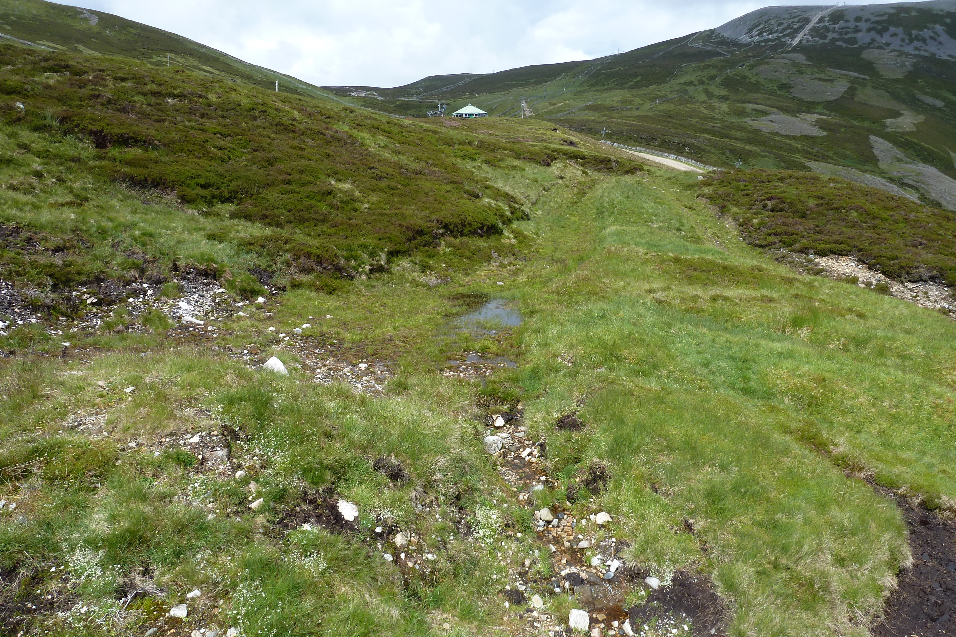 Picture United Kingdom Cairngorms National Park 2011-07 76 - Tour Cairngorms National Park