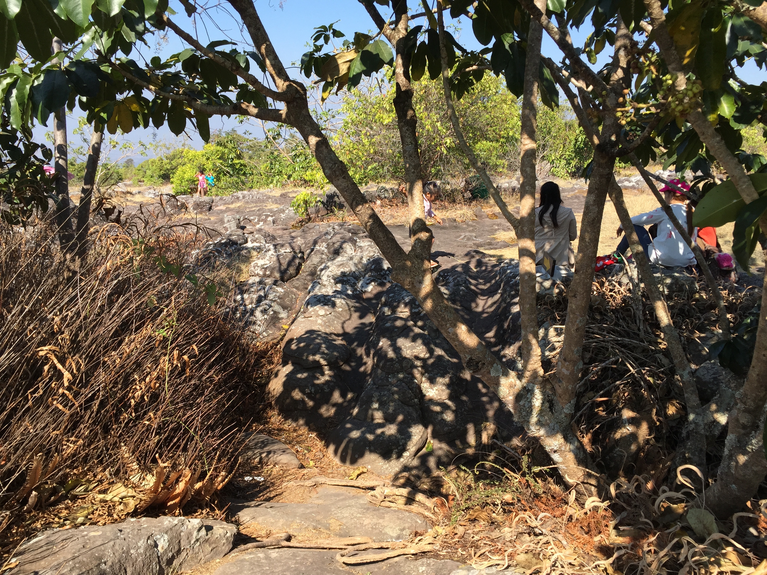 Picture Thailand Phu Hin Rong Kla National Park 2014-12 388 - Tour Phu Hin Rong Kla National Park