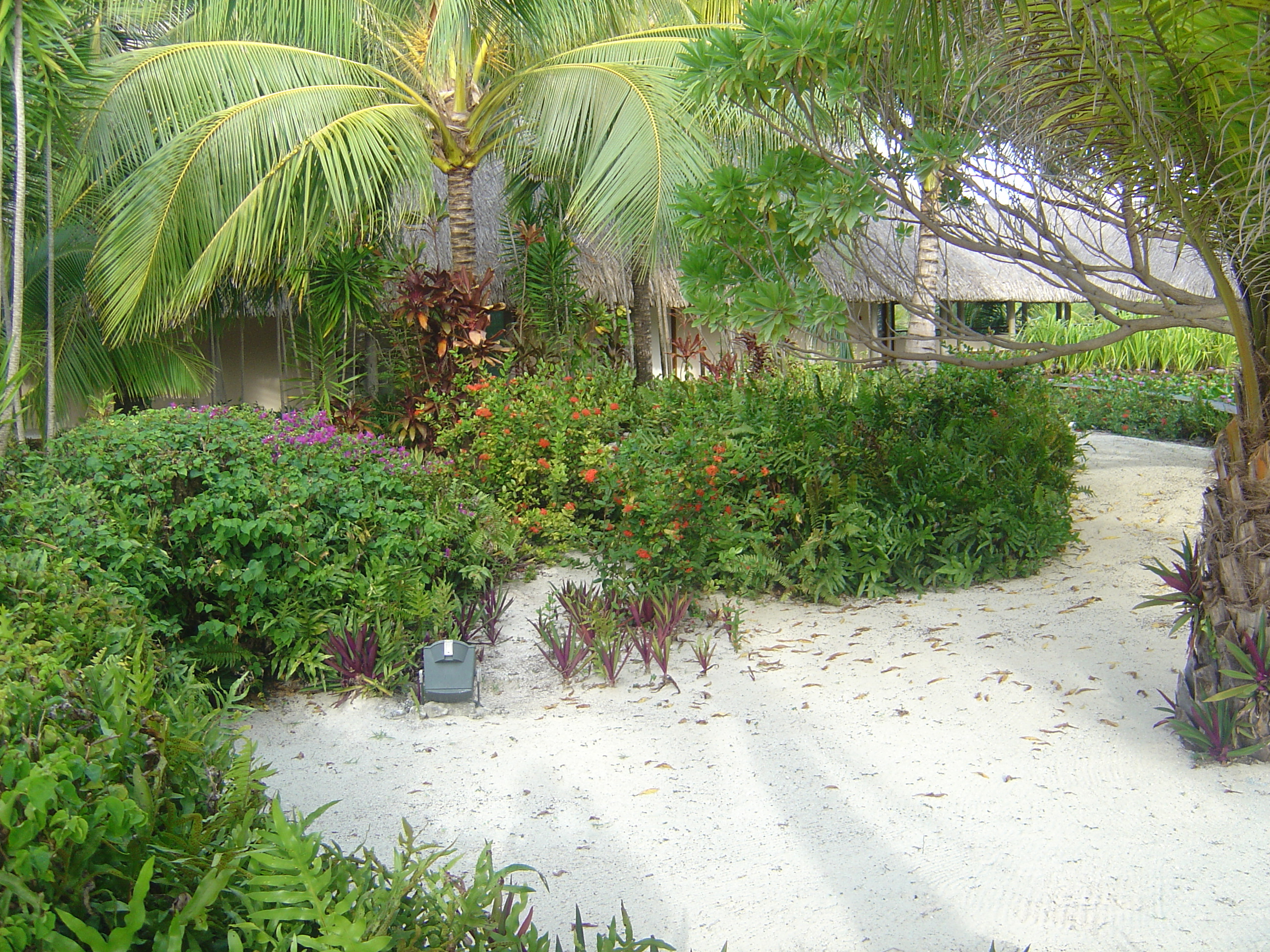 Picture Polynesia Meridien Bora Bora Hotel 2006-04 62 - Tours Meridien Bora Bora Hotel